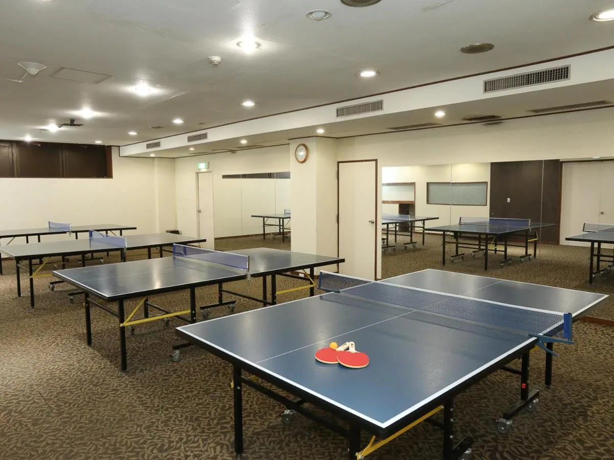 Bird's eye view in Shirakabako View Hotel