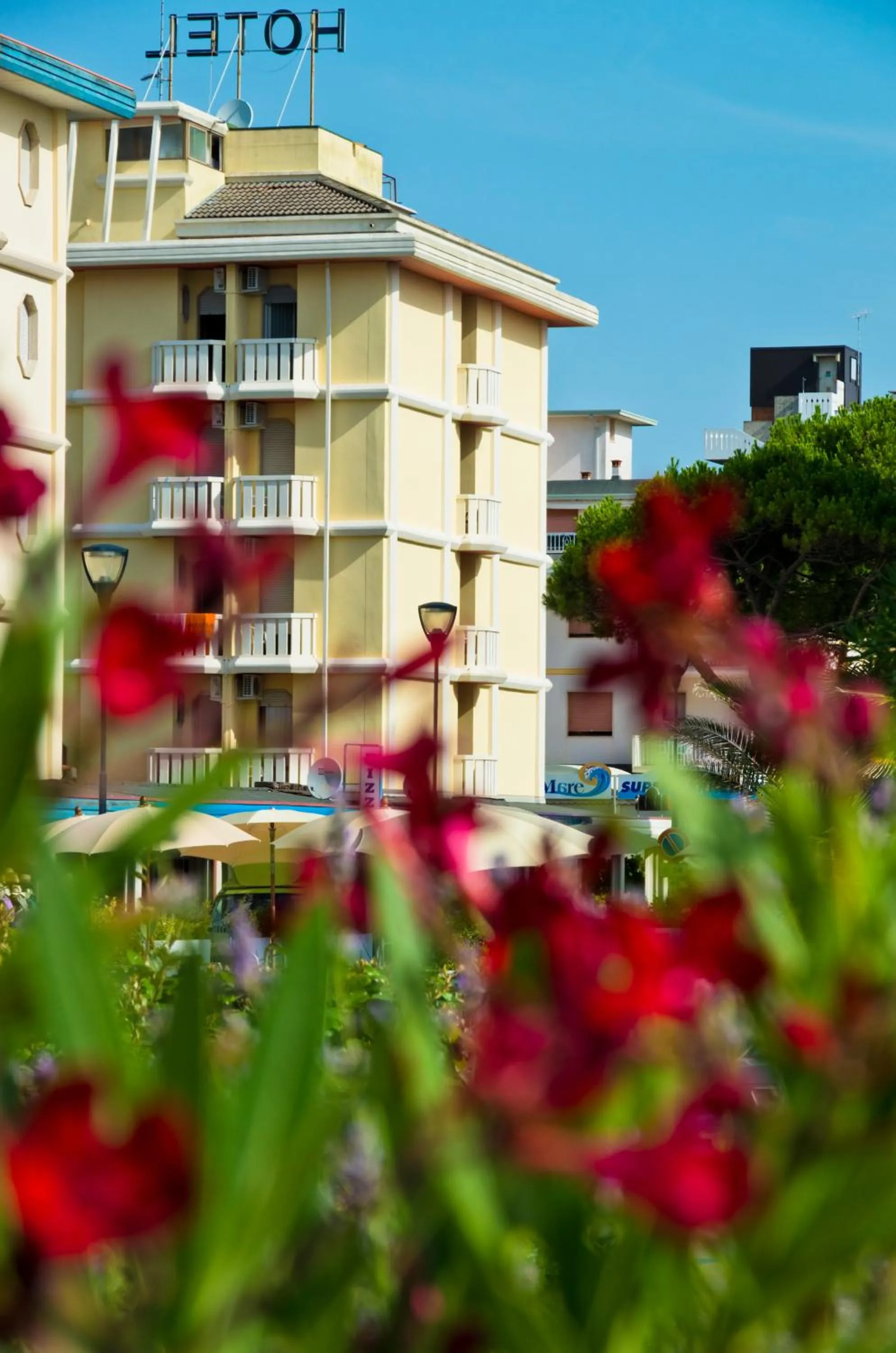 Property building in Hotel Nevada