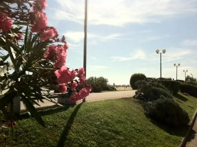 Area and facilities in Hotel Nevada