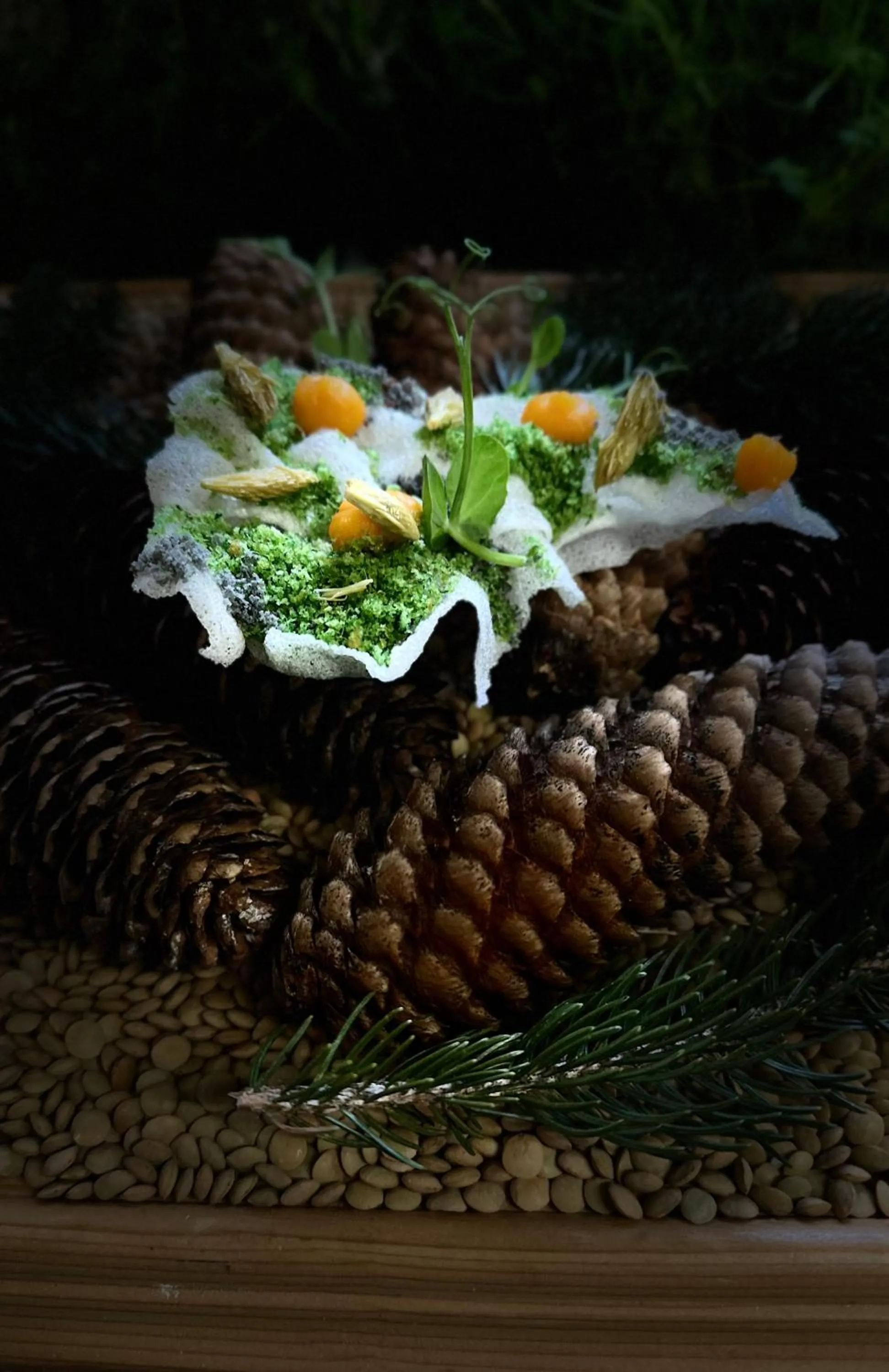 Food and drinks in Hotel La Perla