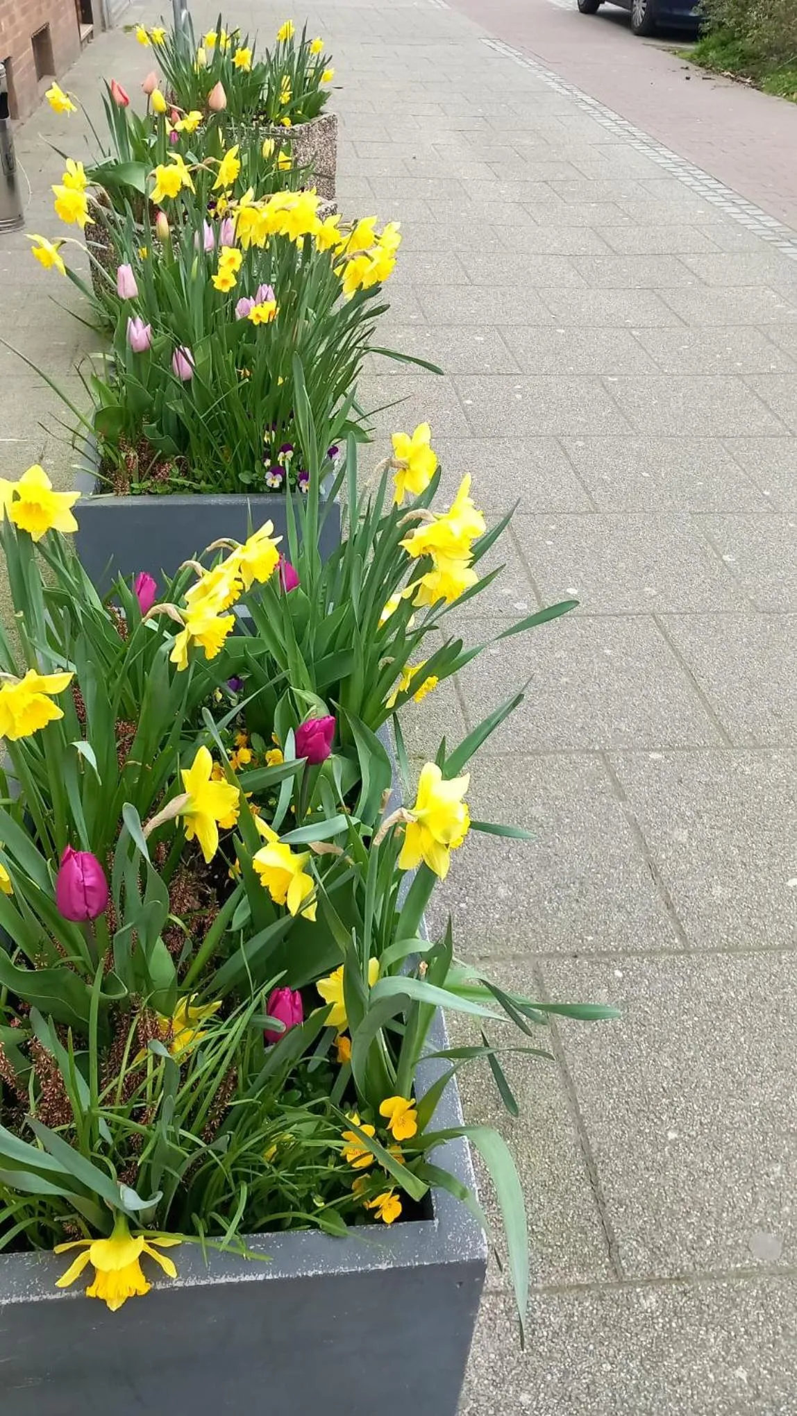 Property building in Aparthotel Marion Weber