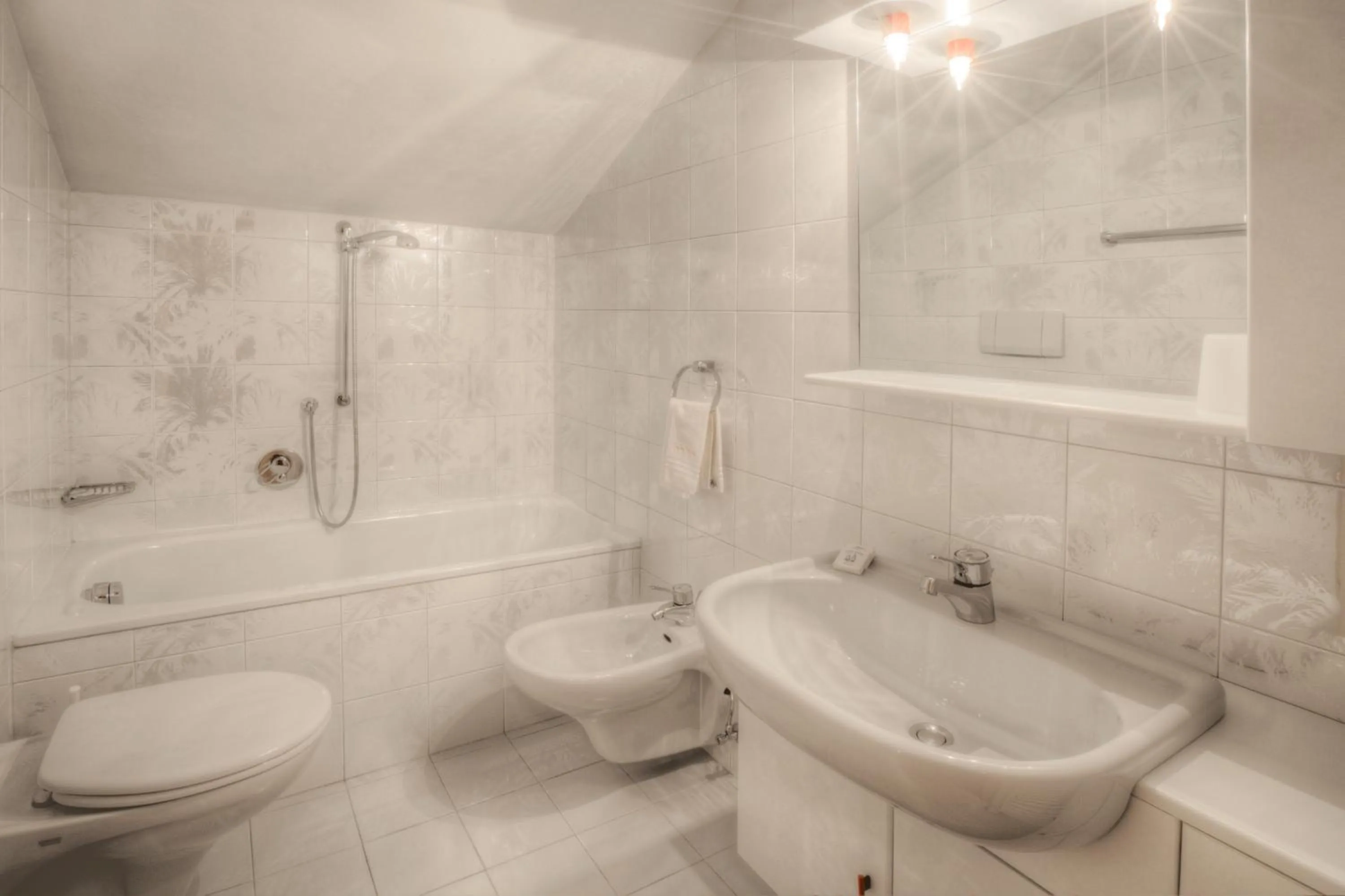 Bathroom in Residence Dolomieu