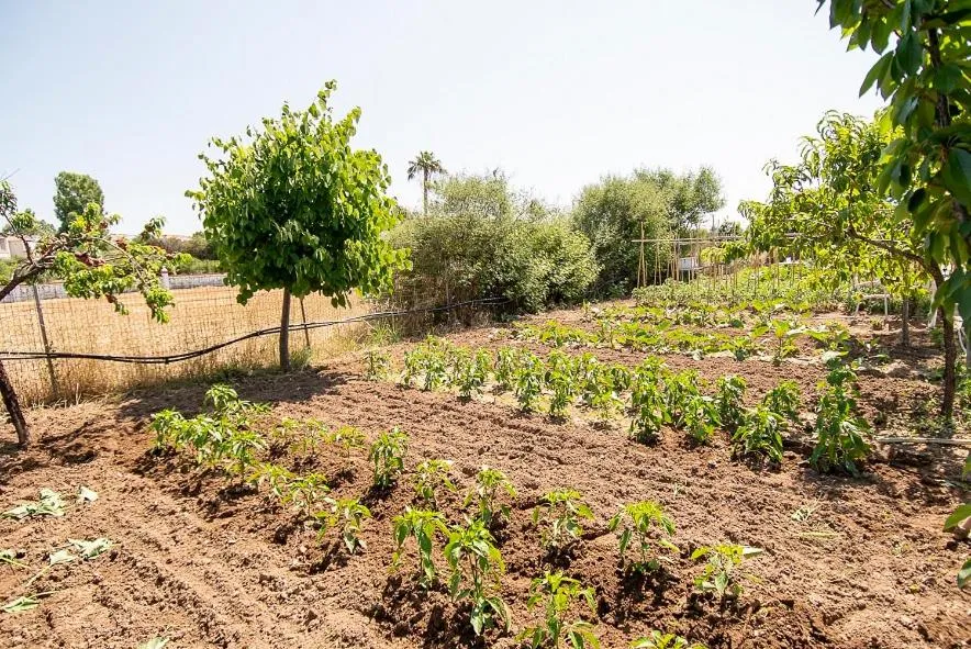 Malemi Organic Hotel