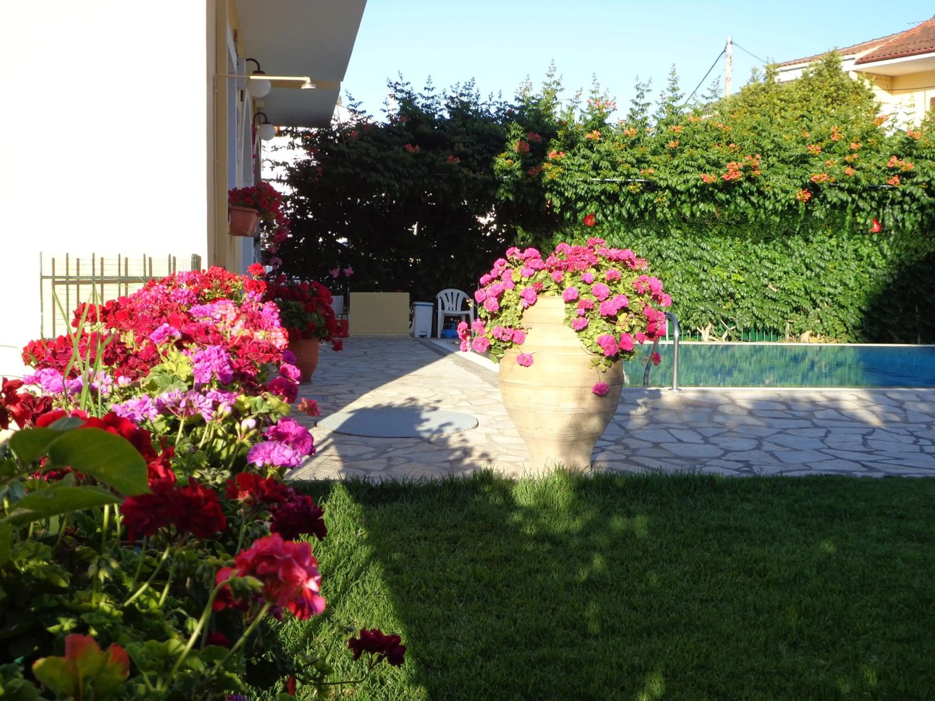 Garden view in Kalypso Gouvia