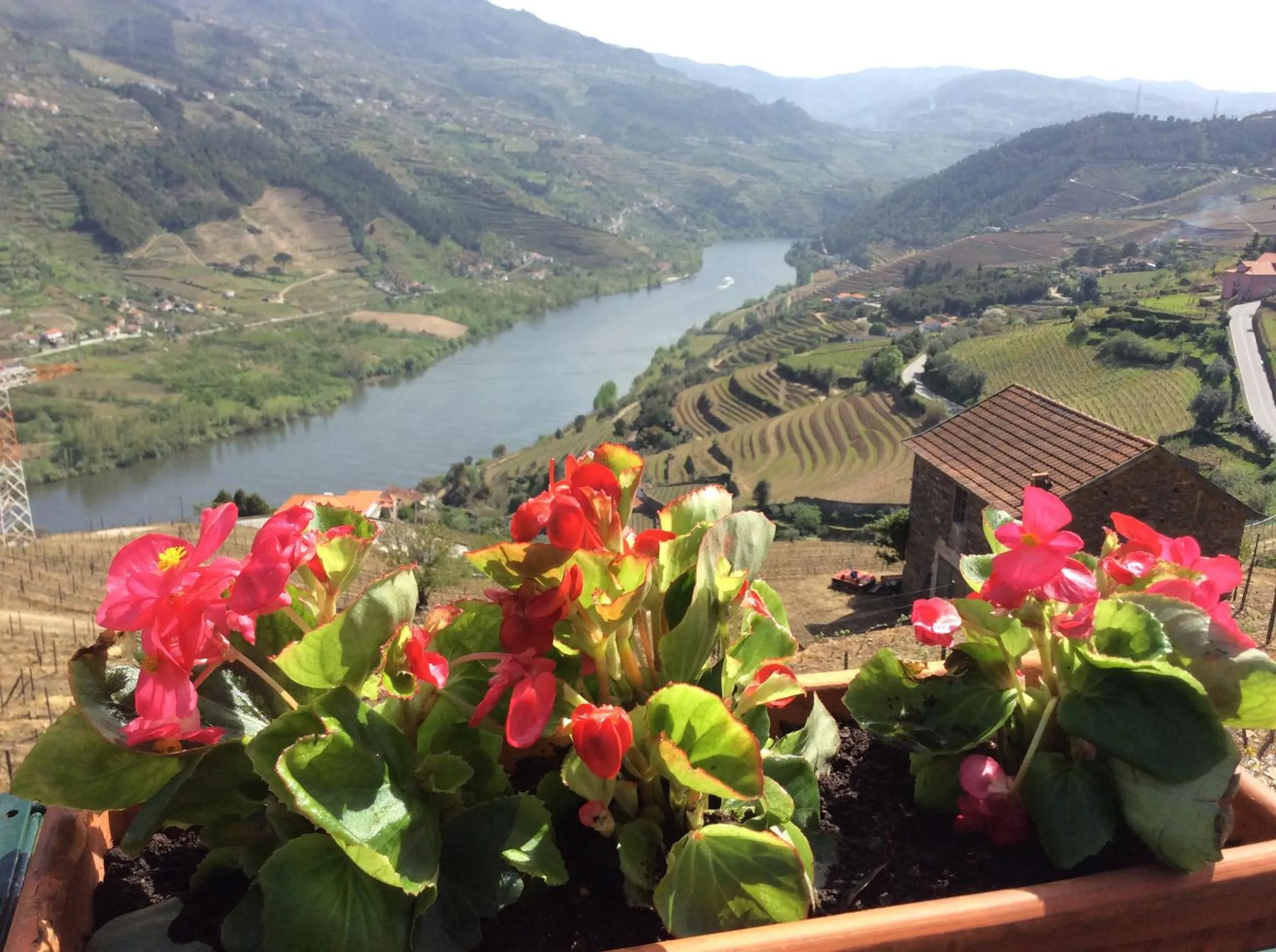 Balcony/Terrace in Casa De Canilhas