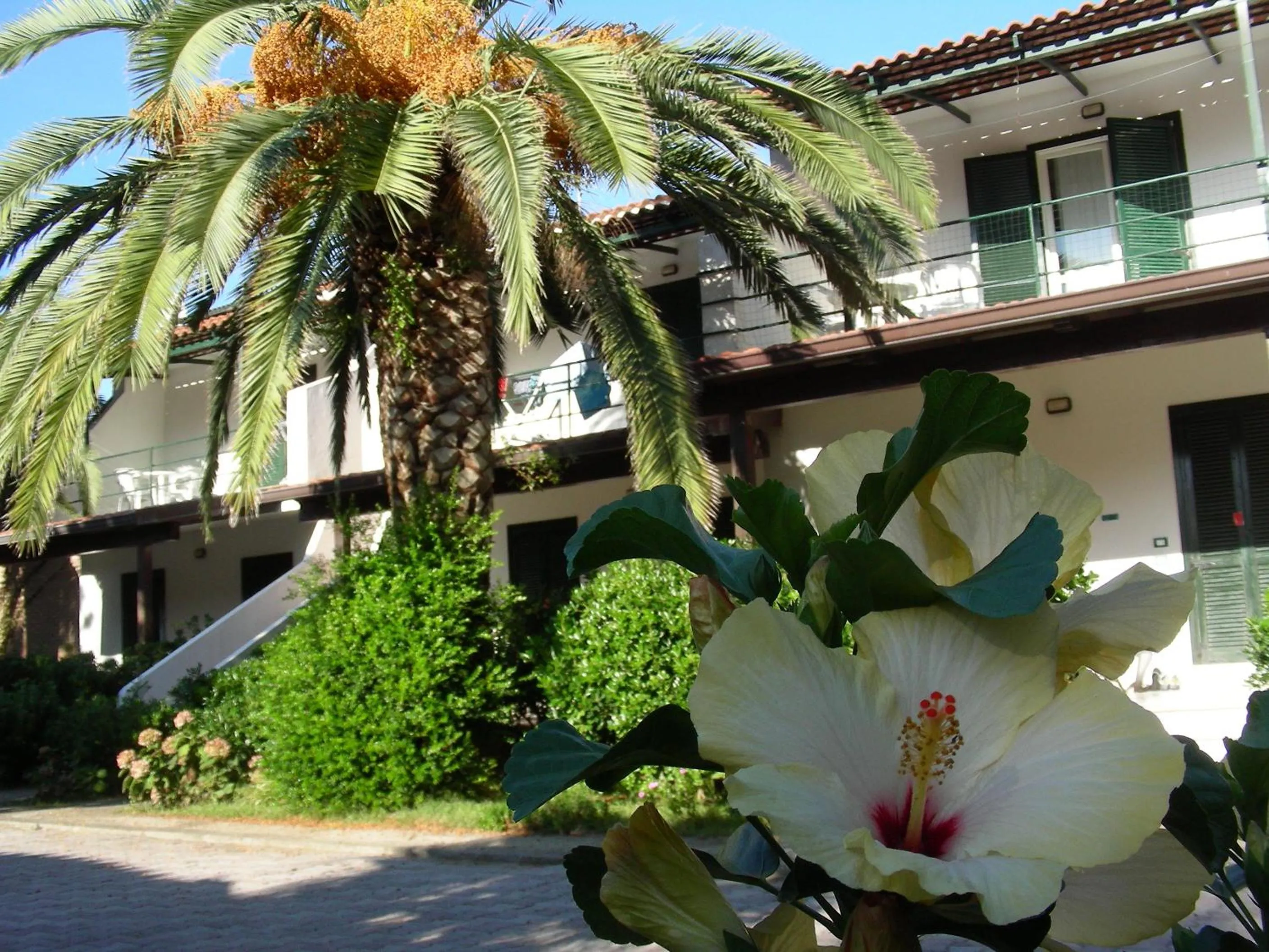 Patio in Resort Sciabache