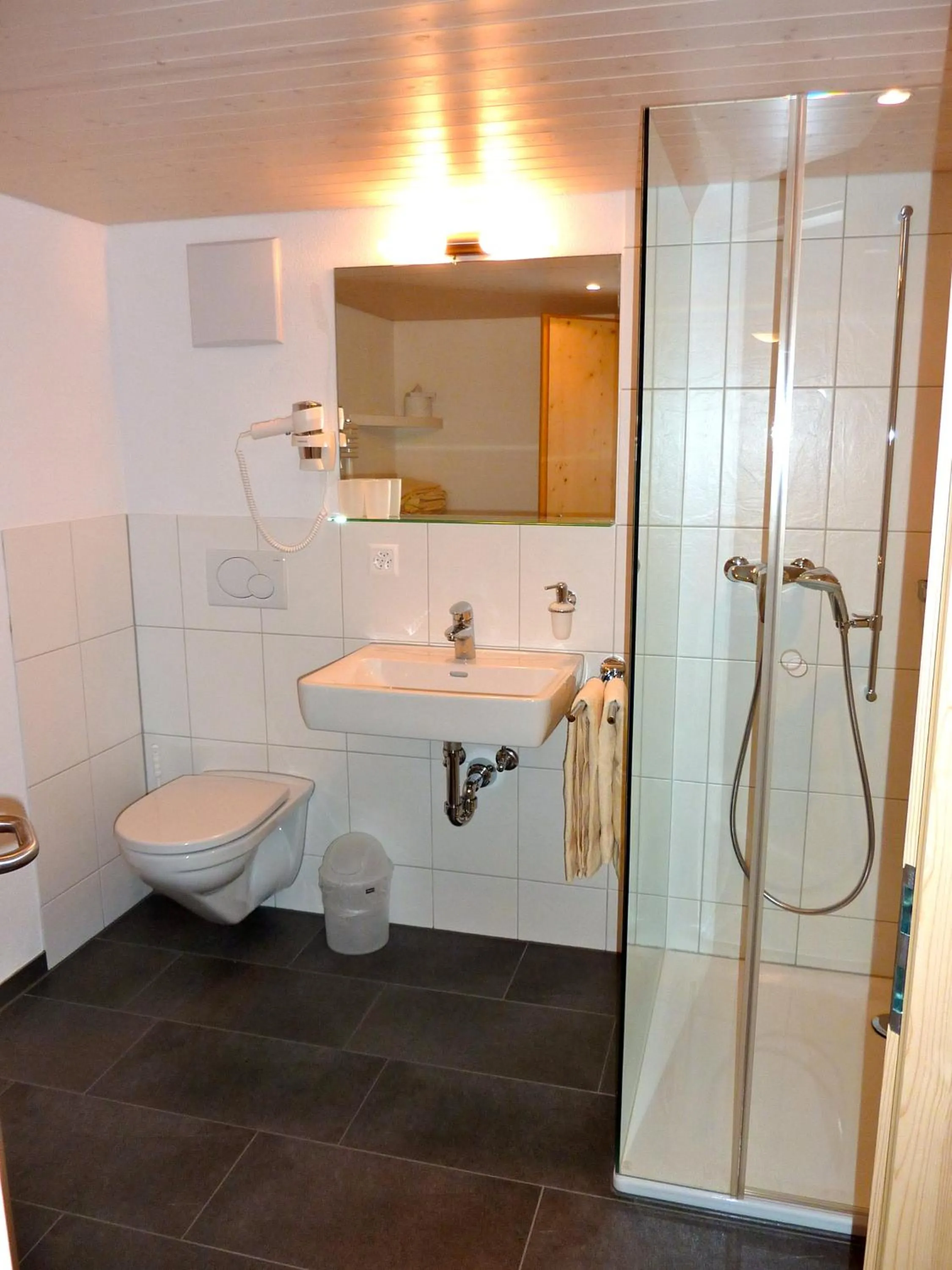 Shower in Hotel Posta