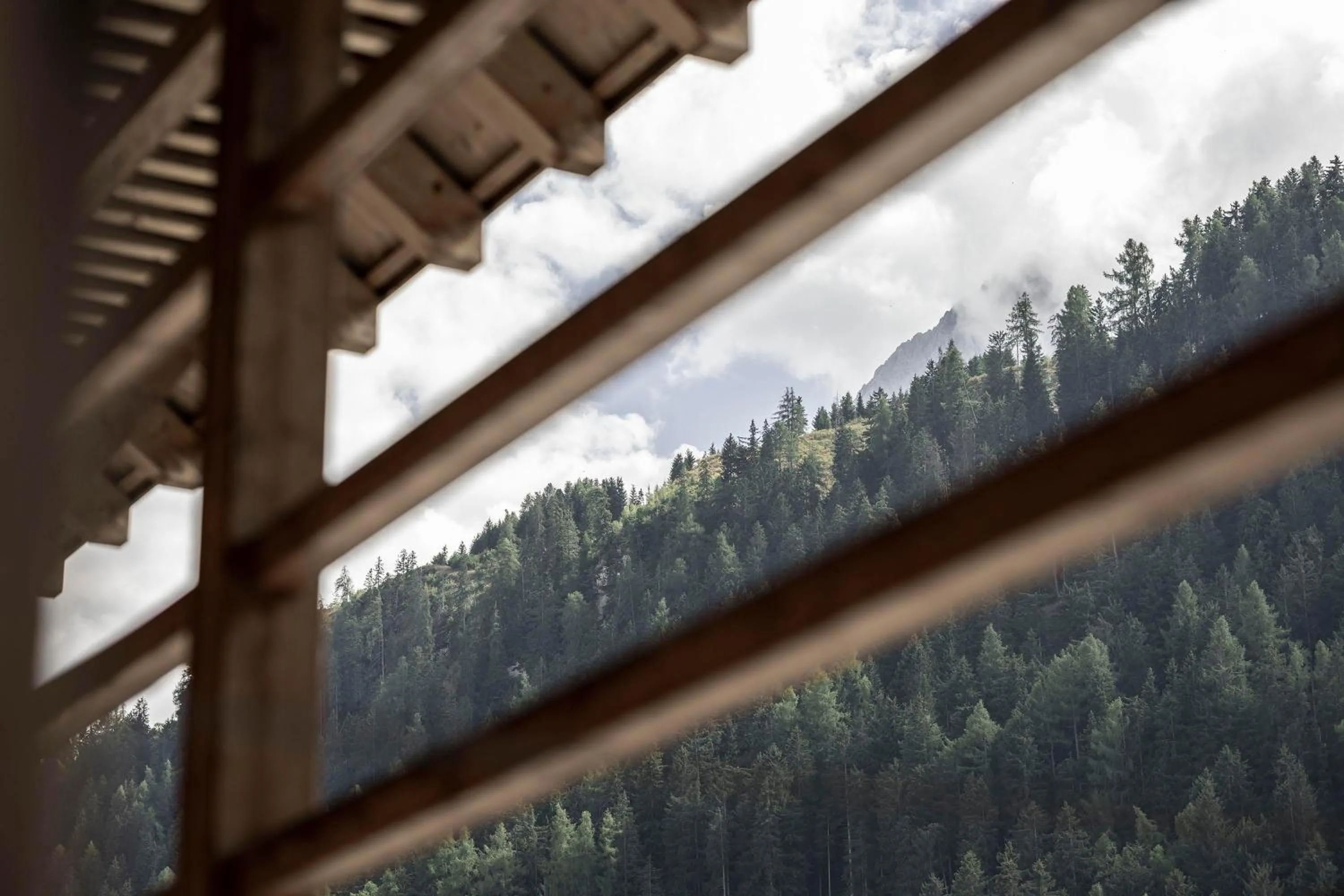 View (from property/room) in Alpstay - Smart Hotel Saslong