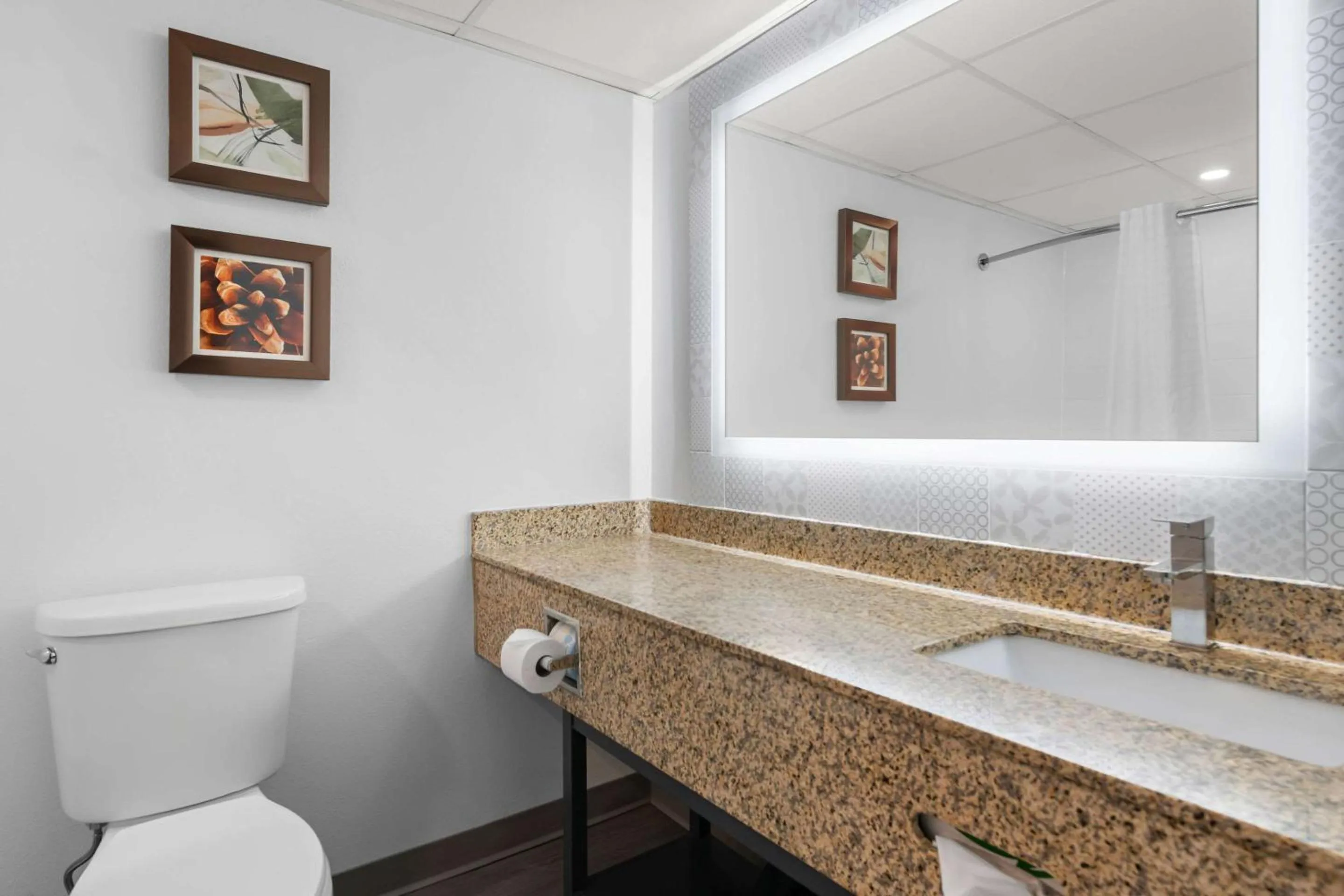 Bedroom in Country Inn & Suites by Radisson, Near The National Sports Center, Coon Rapids, MN