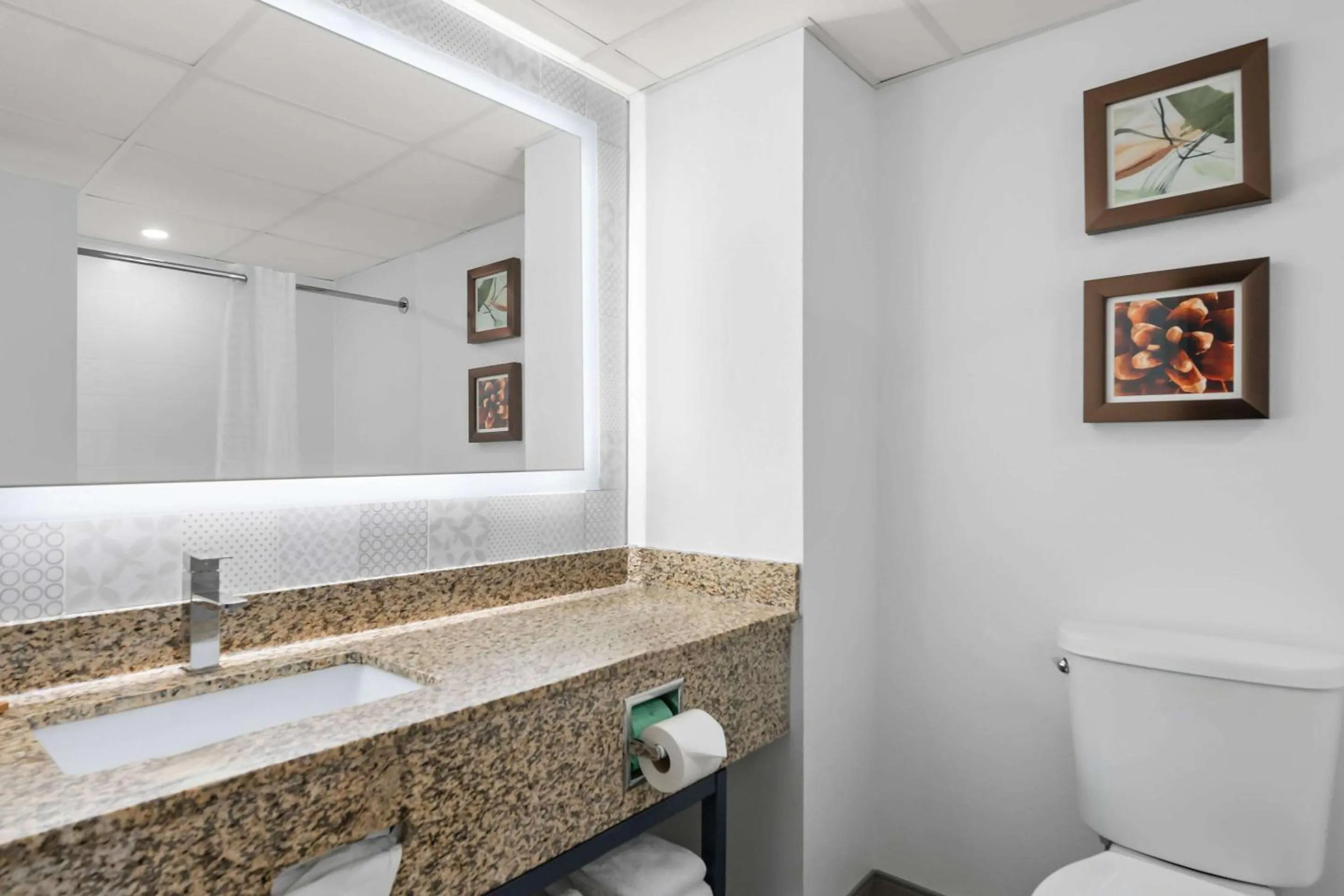 Bedroom in Country Inn & Suites by Radisson, Near The National Sports Center, Coon Rapids, MN