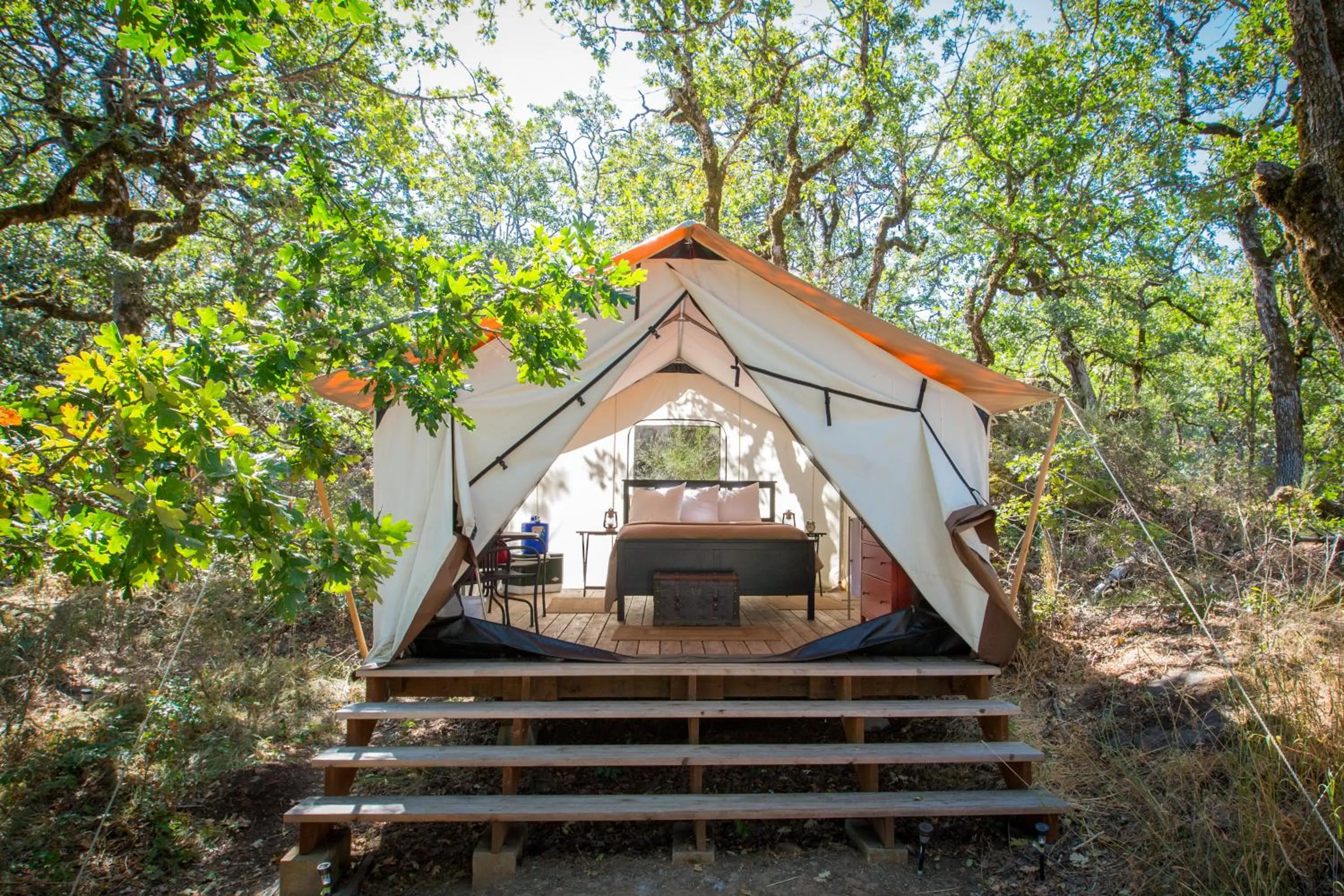 Area and facilities in Westcliff Lodge