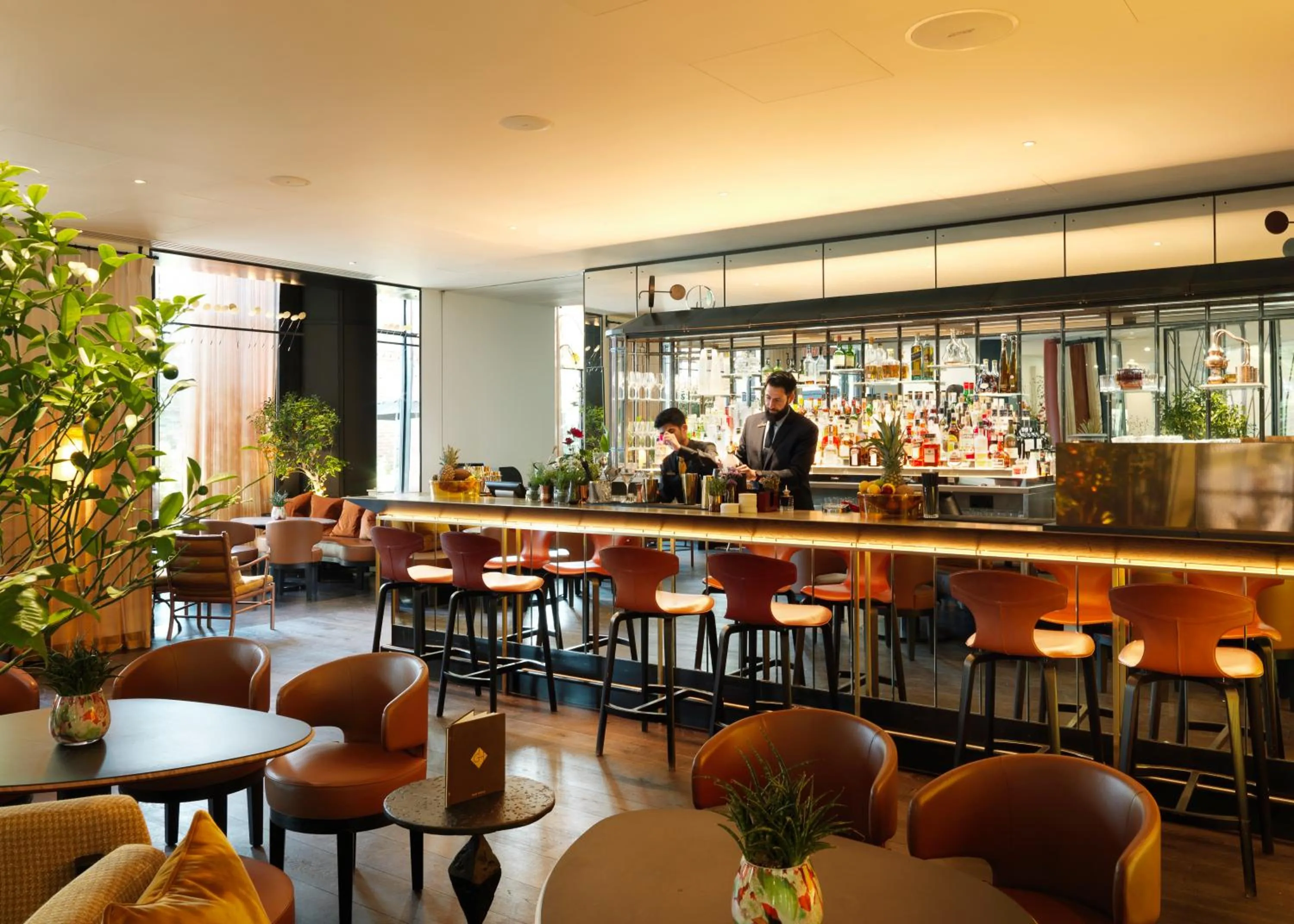 Lounge or bar in The Grove