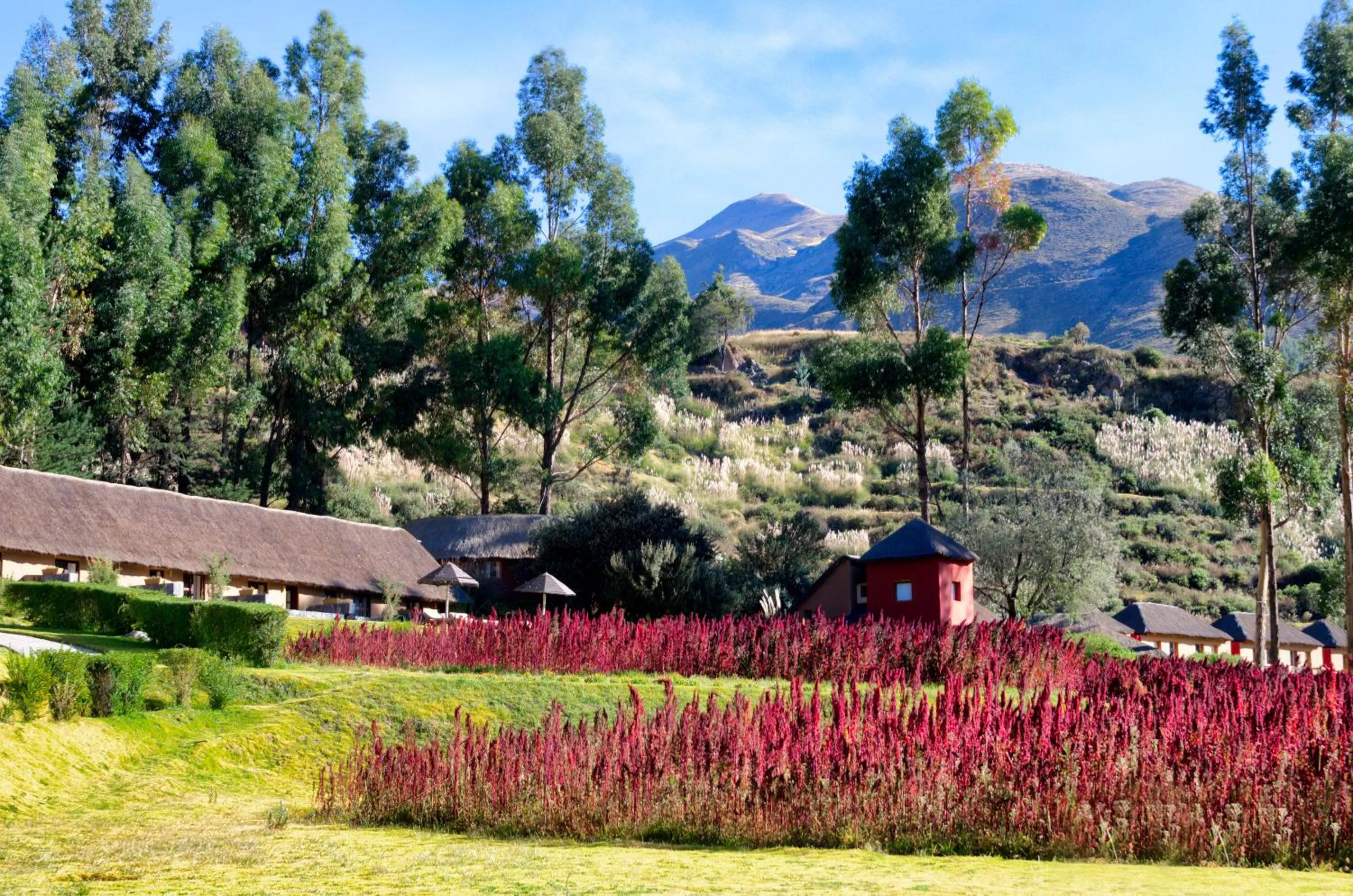 Garden in Colca Lodge Spa & Hot Springs