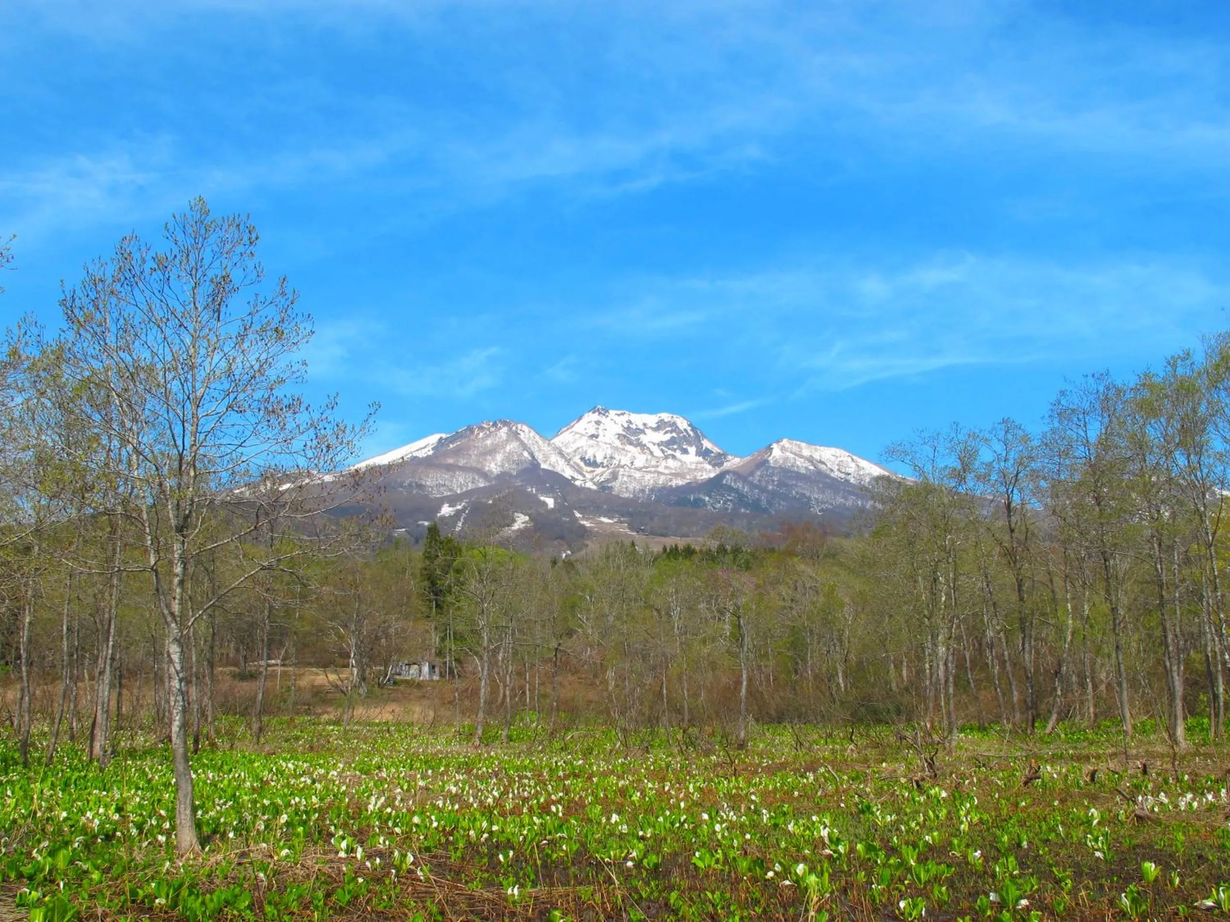 Spring in Akakura Hotel