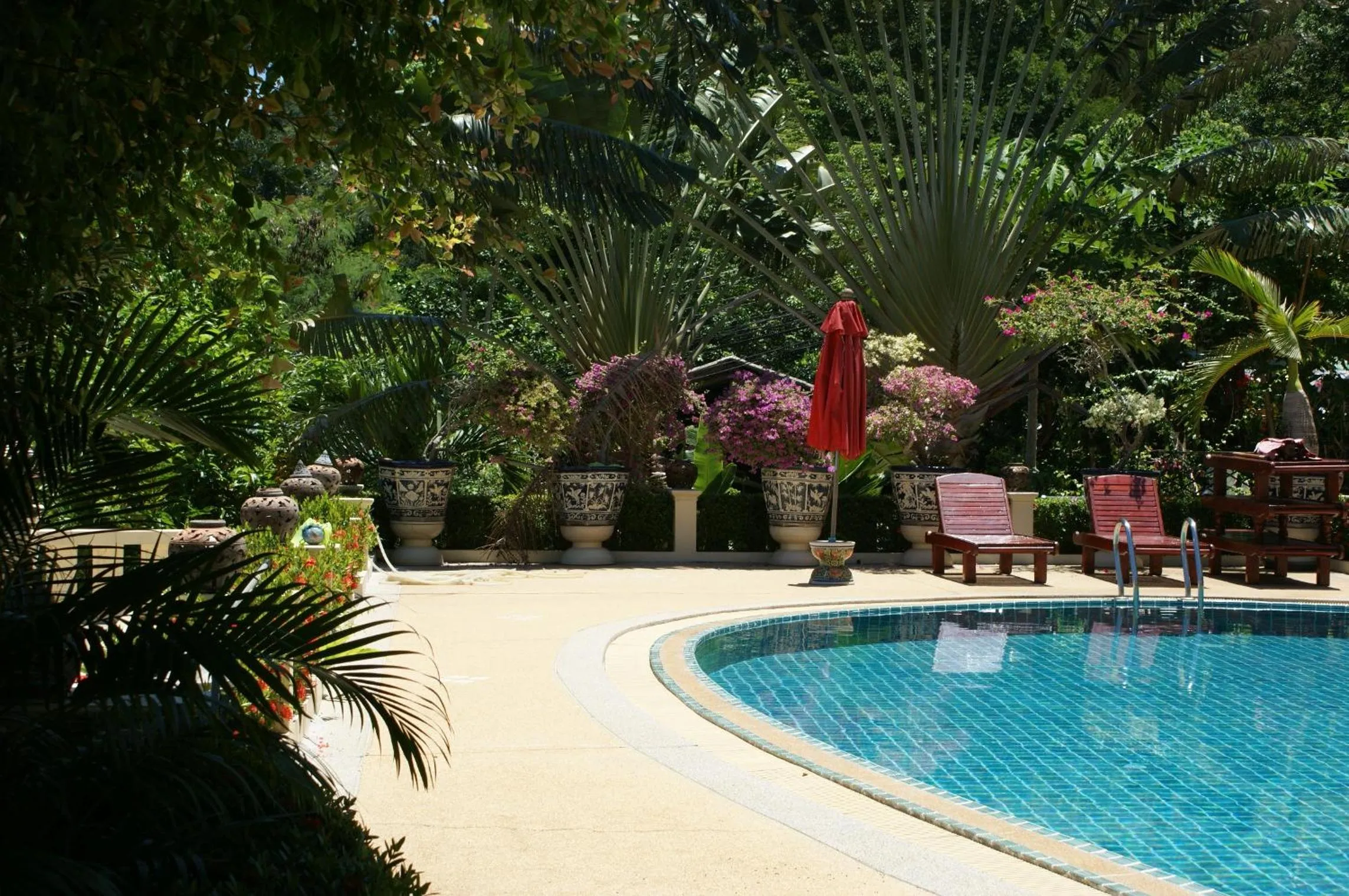 Pool view in Prince Edouard Apartments & Resort Patong Beach Phuket