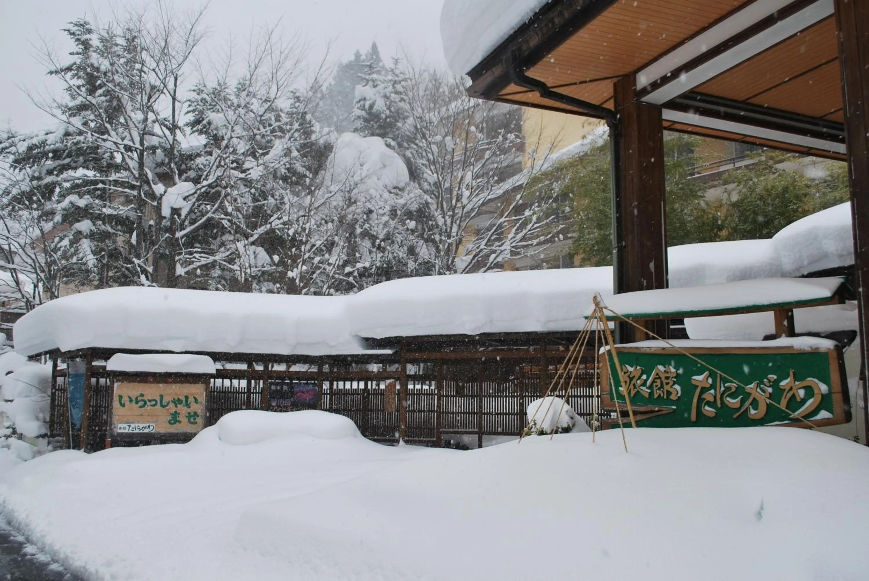 Winter in Ryokan Tanigawa