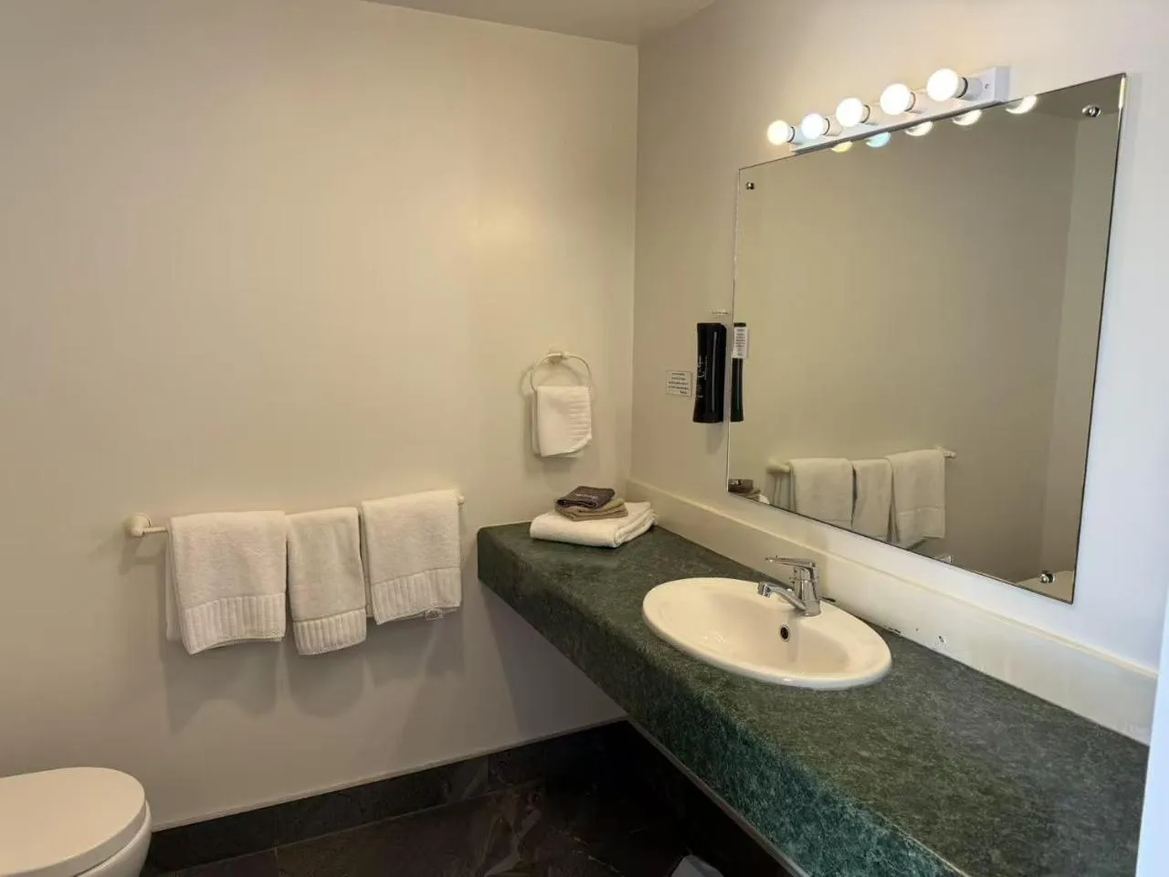 Bathroom in Wallaceville Motor Lodge