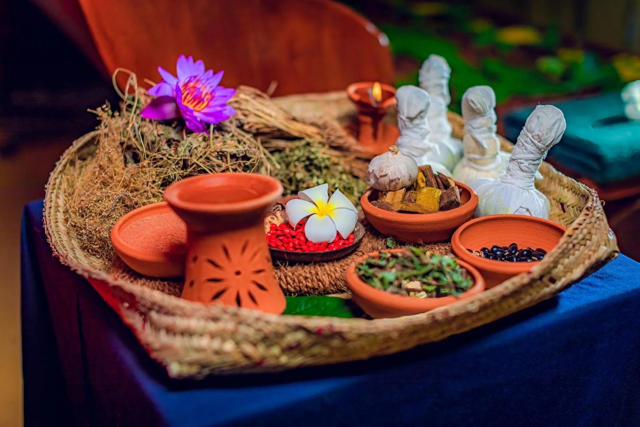Spa and wellness centre/facilities in Sath Villa Naadi Ayurveda Resort
