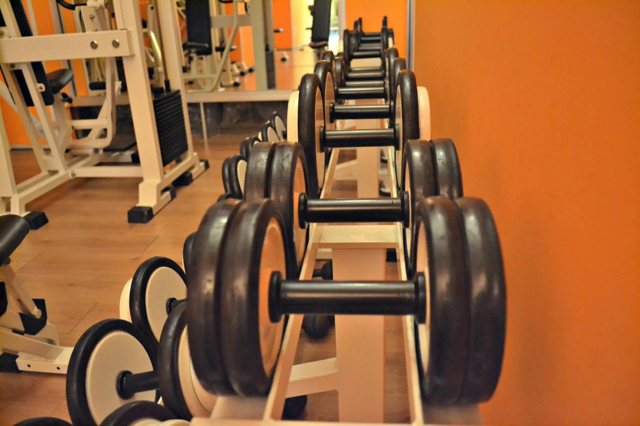 Fitness centre/facilities in Hotel Acquaplanet