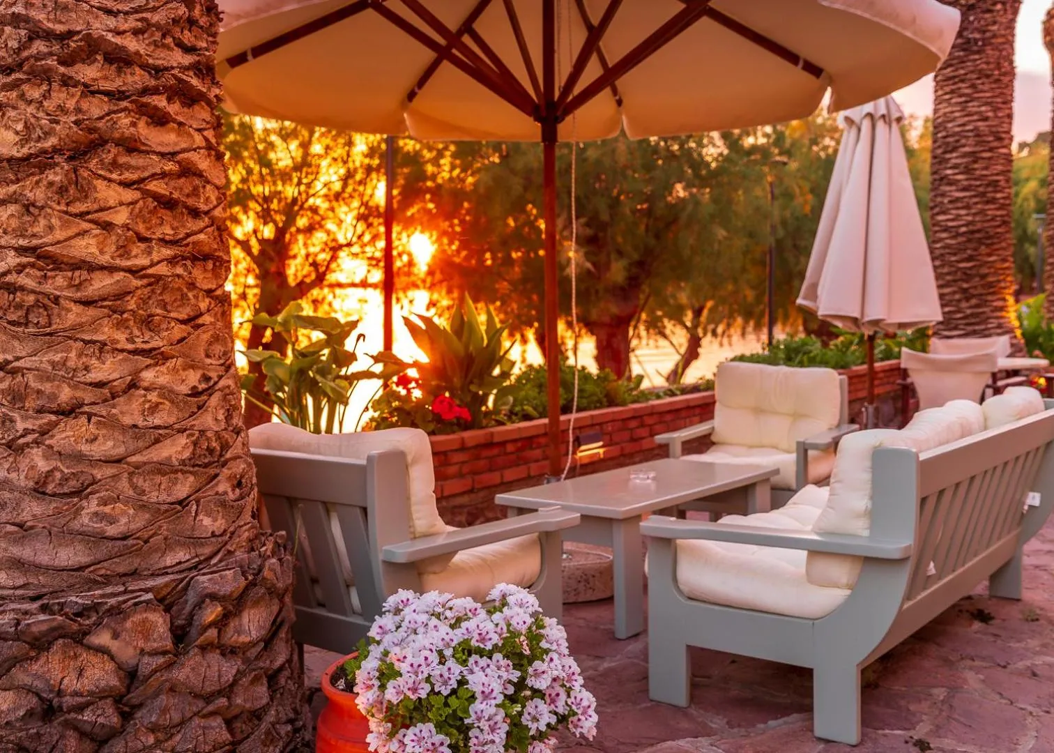 Garden view in Hotel Molyvos I