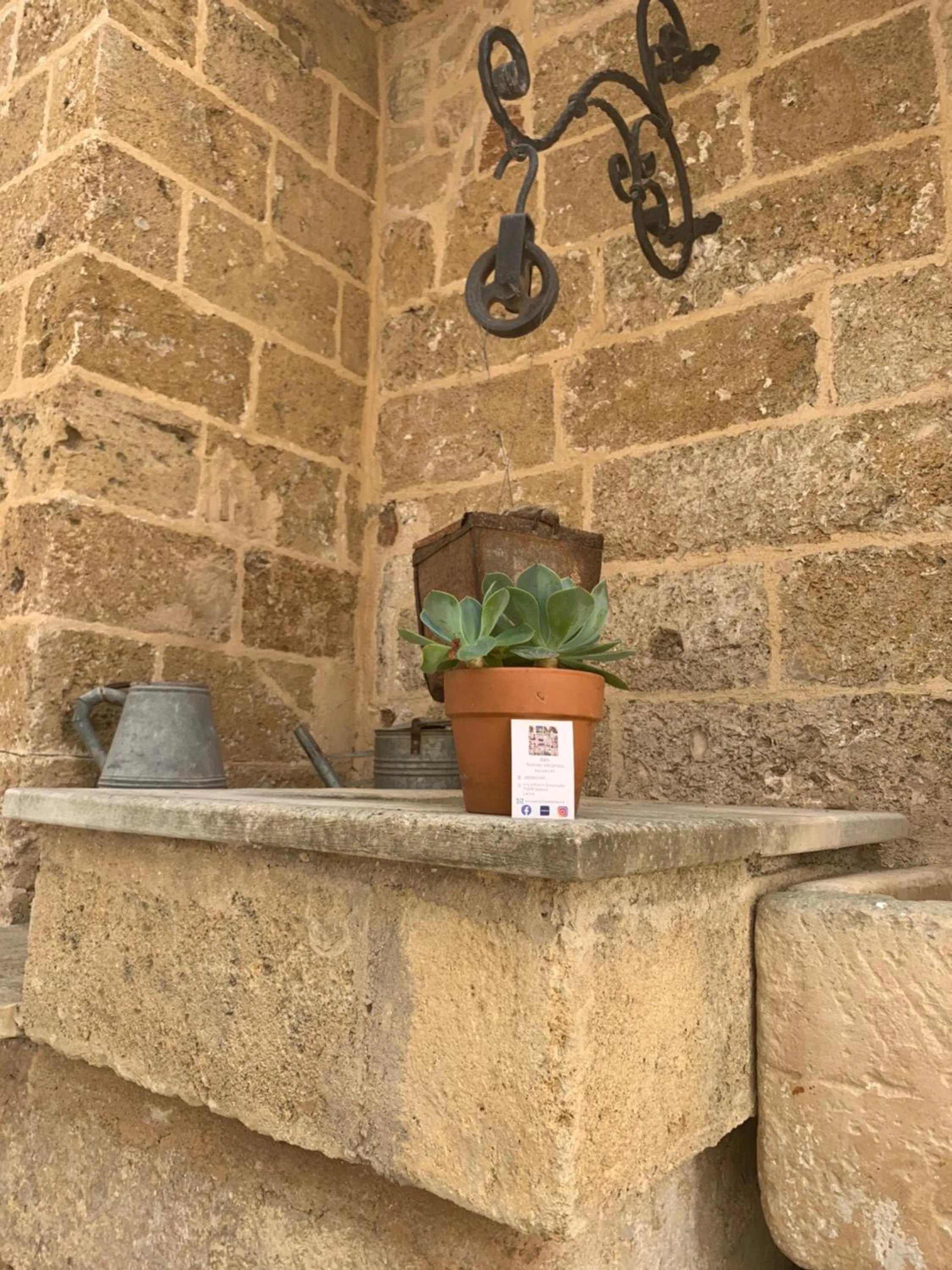 Garden in Nonna Veronica