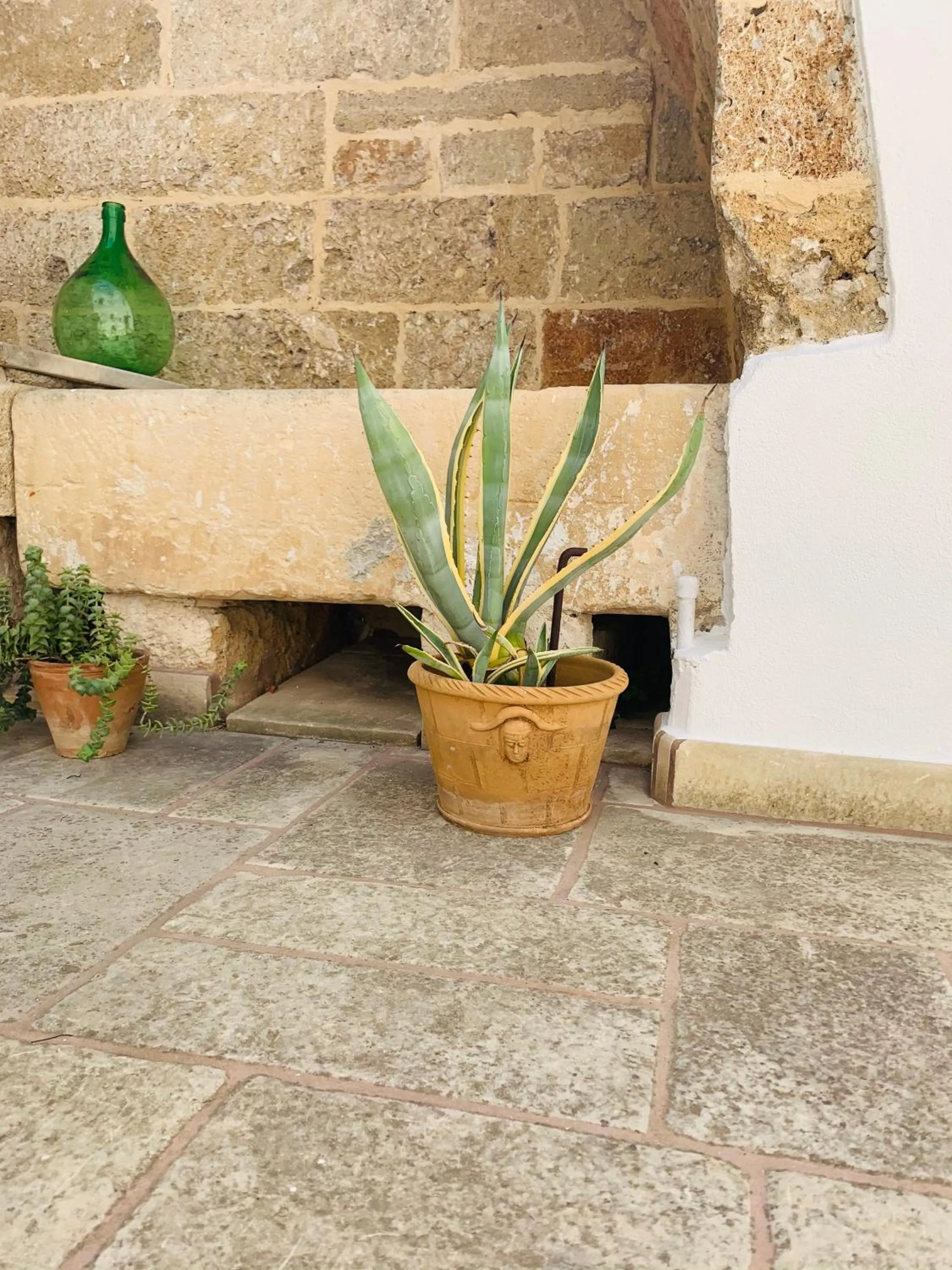 Garden in Nonna Veronica