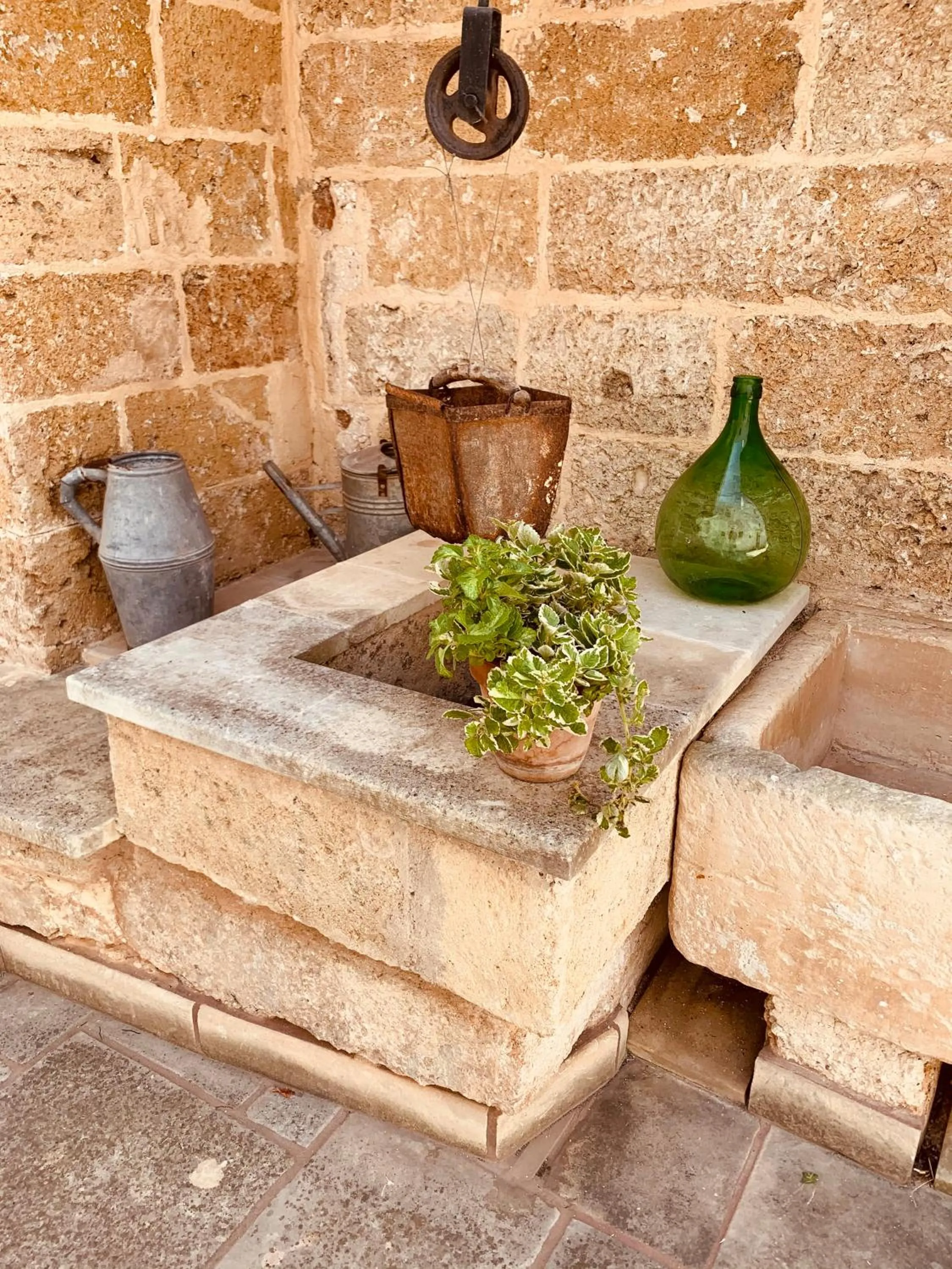 Garden in Nonna Veronica