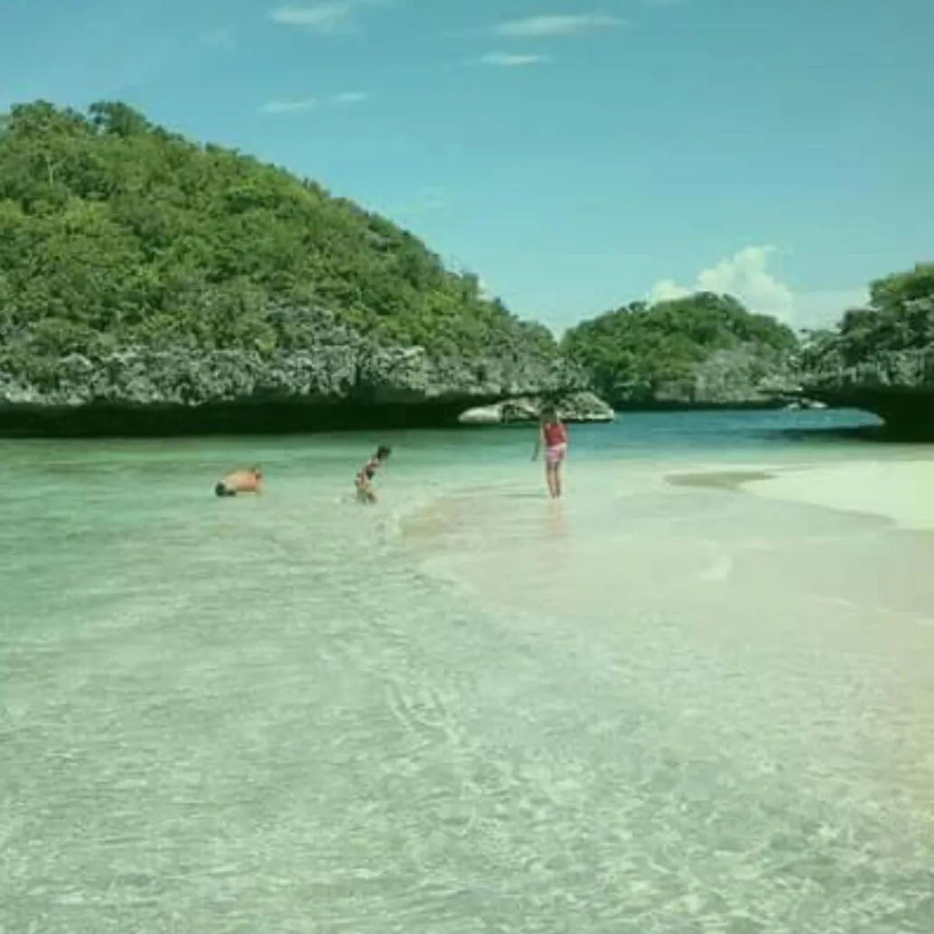Carribean Transient House