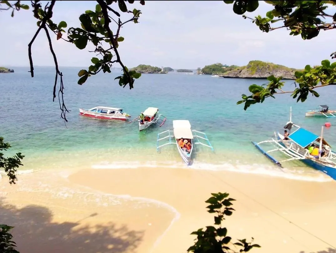 Carribean Transient House