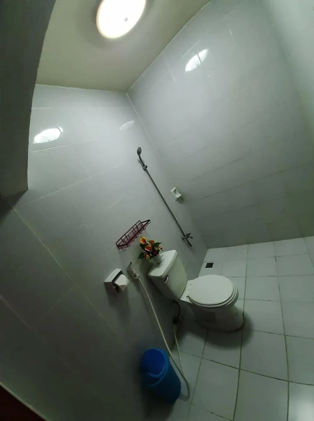 Carribean Transient House