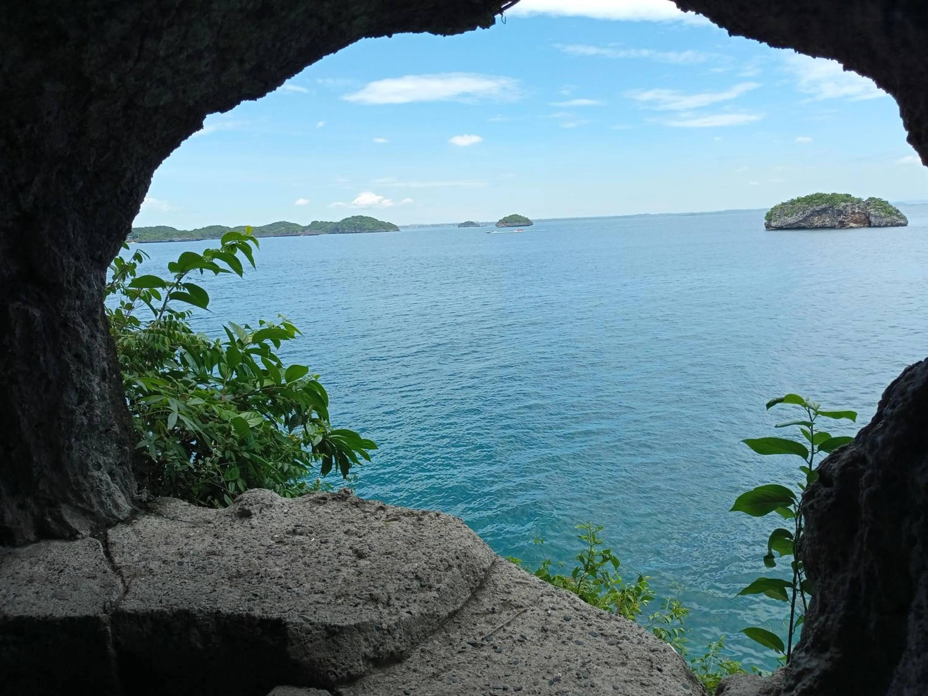 Carribean Transient House