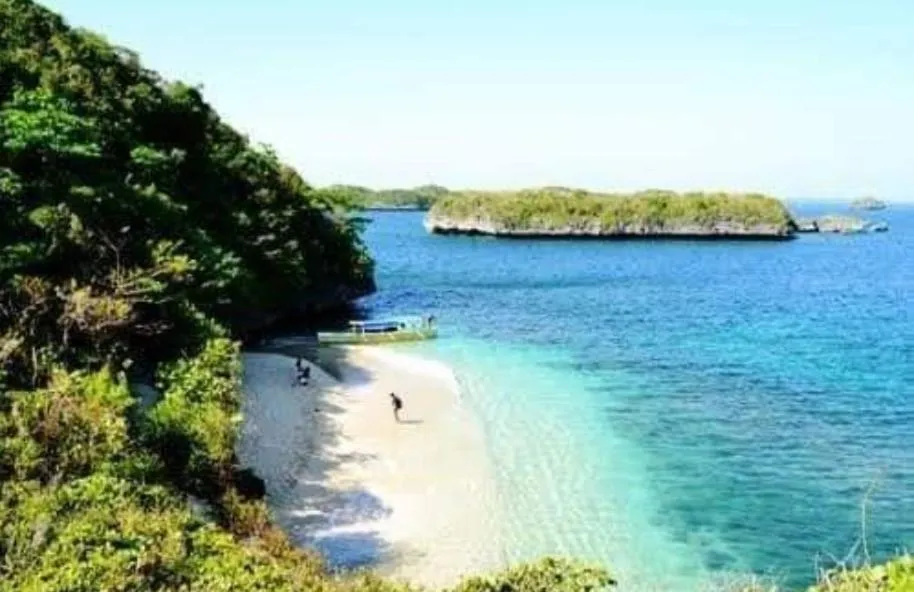 Carribean Transient House