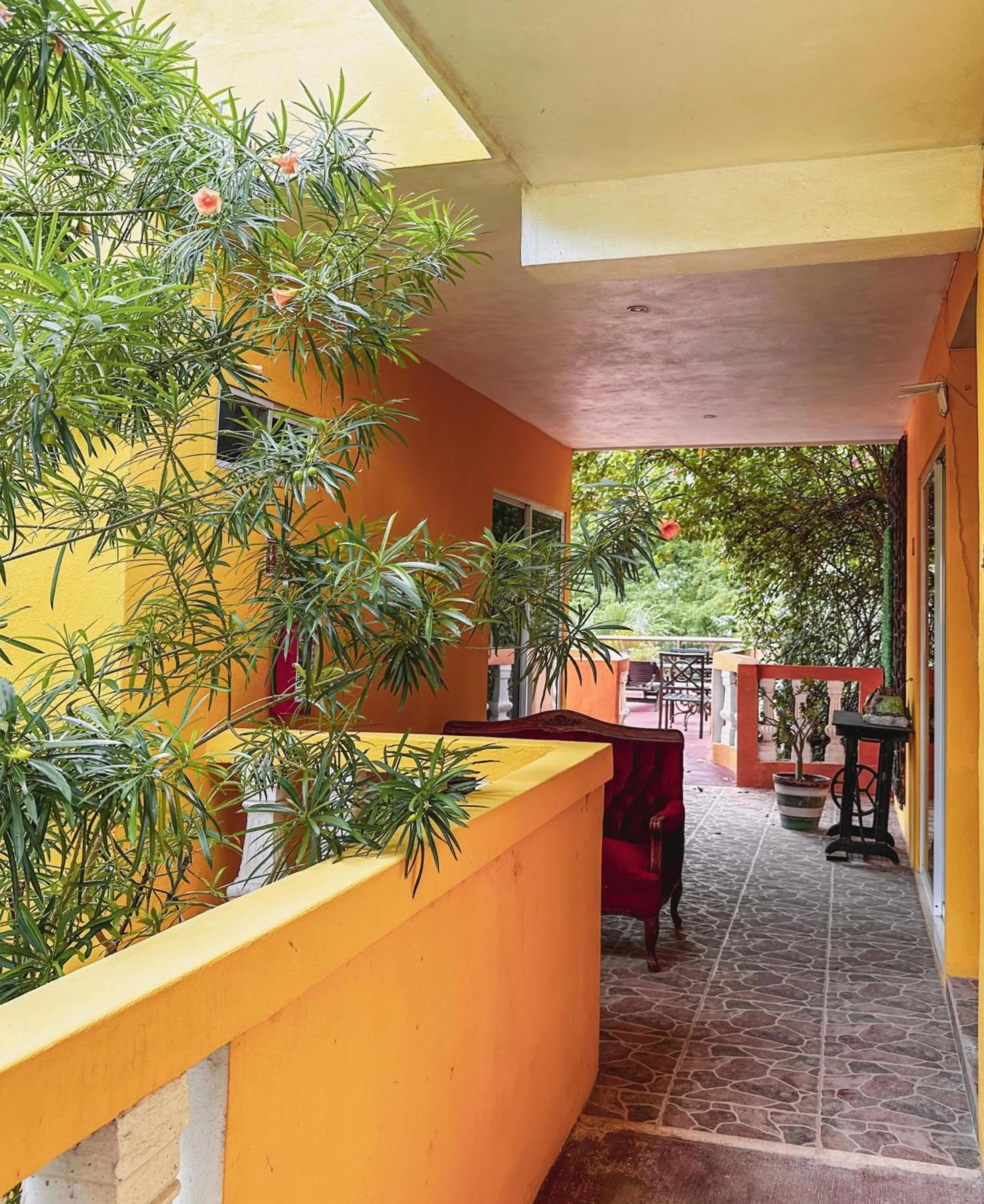 Day in Casa Daniels Guesthouse