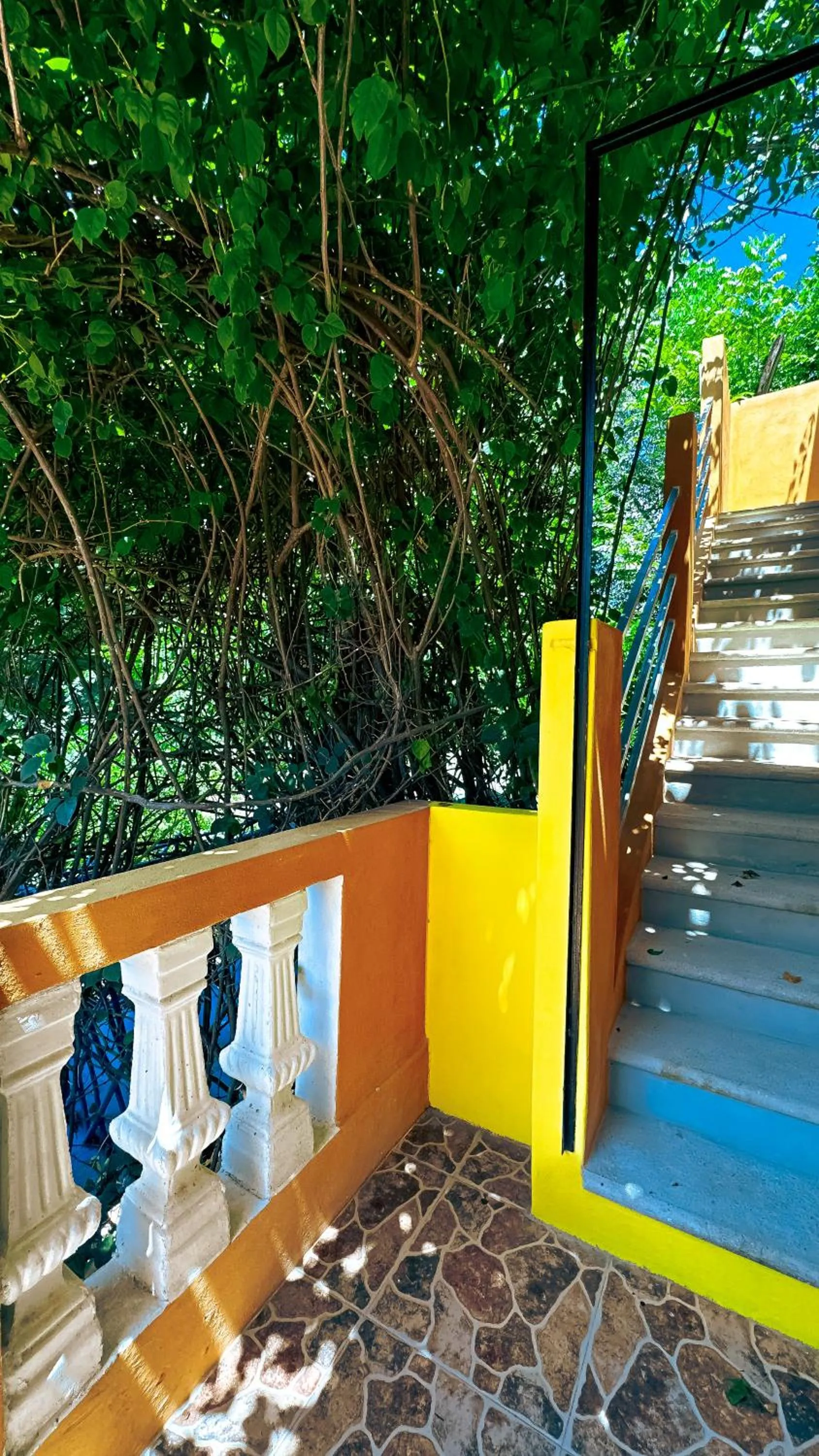 Day in Casa Daniels Guesthouse