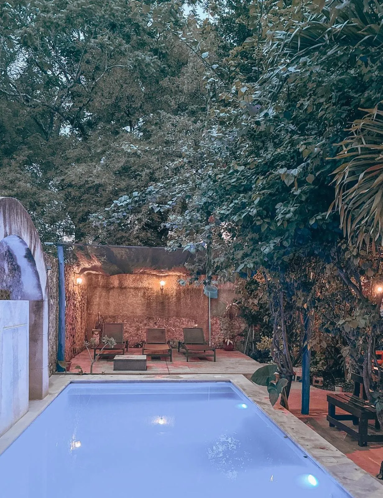 Garden in Casa Daniels Guesthouse