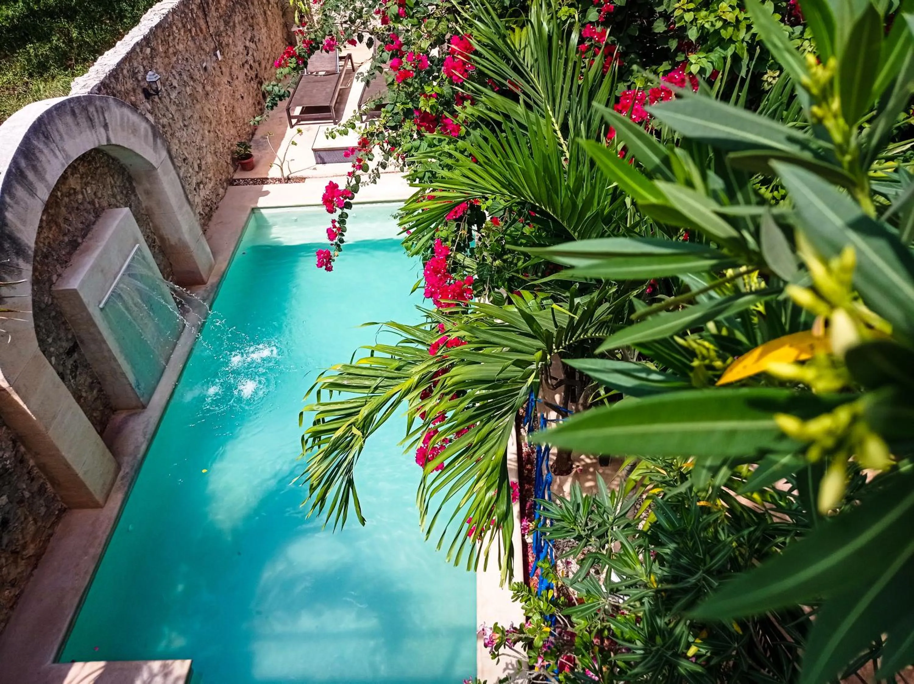 Swimming pool in Casa Daniels Guesthouse