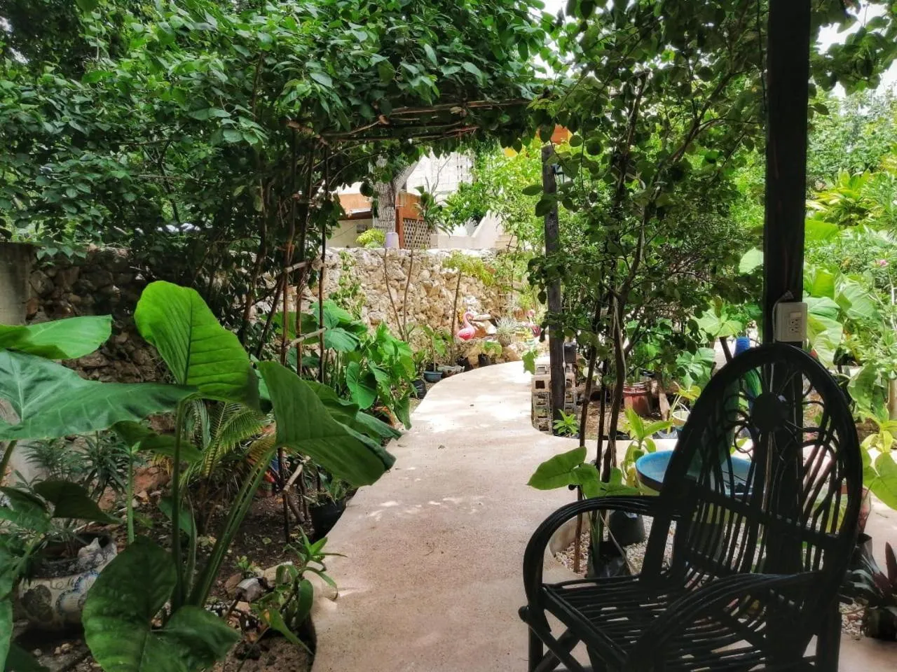 Garden in Casa Daniels Guesthouse