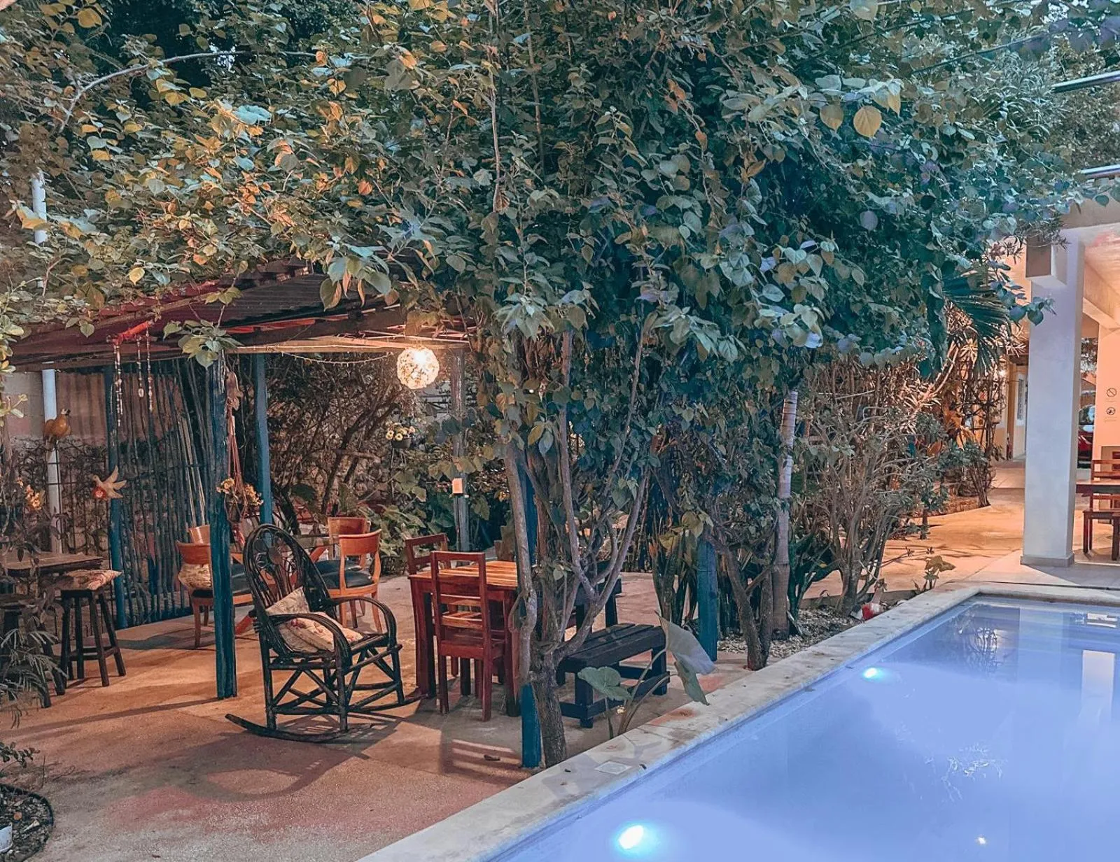 Garden in Casa Daniels Guesthouse