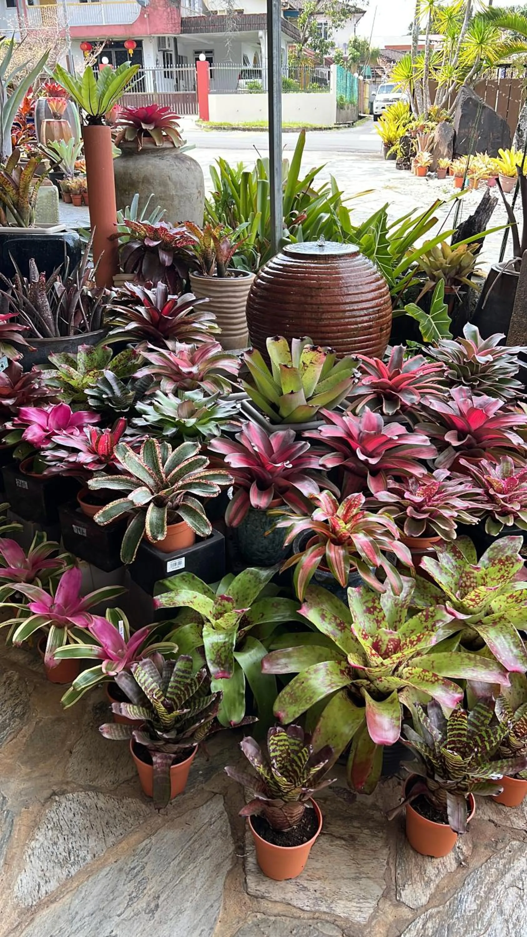 View (from property/room) in The Green Cottage