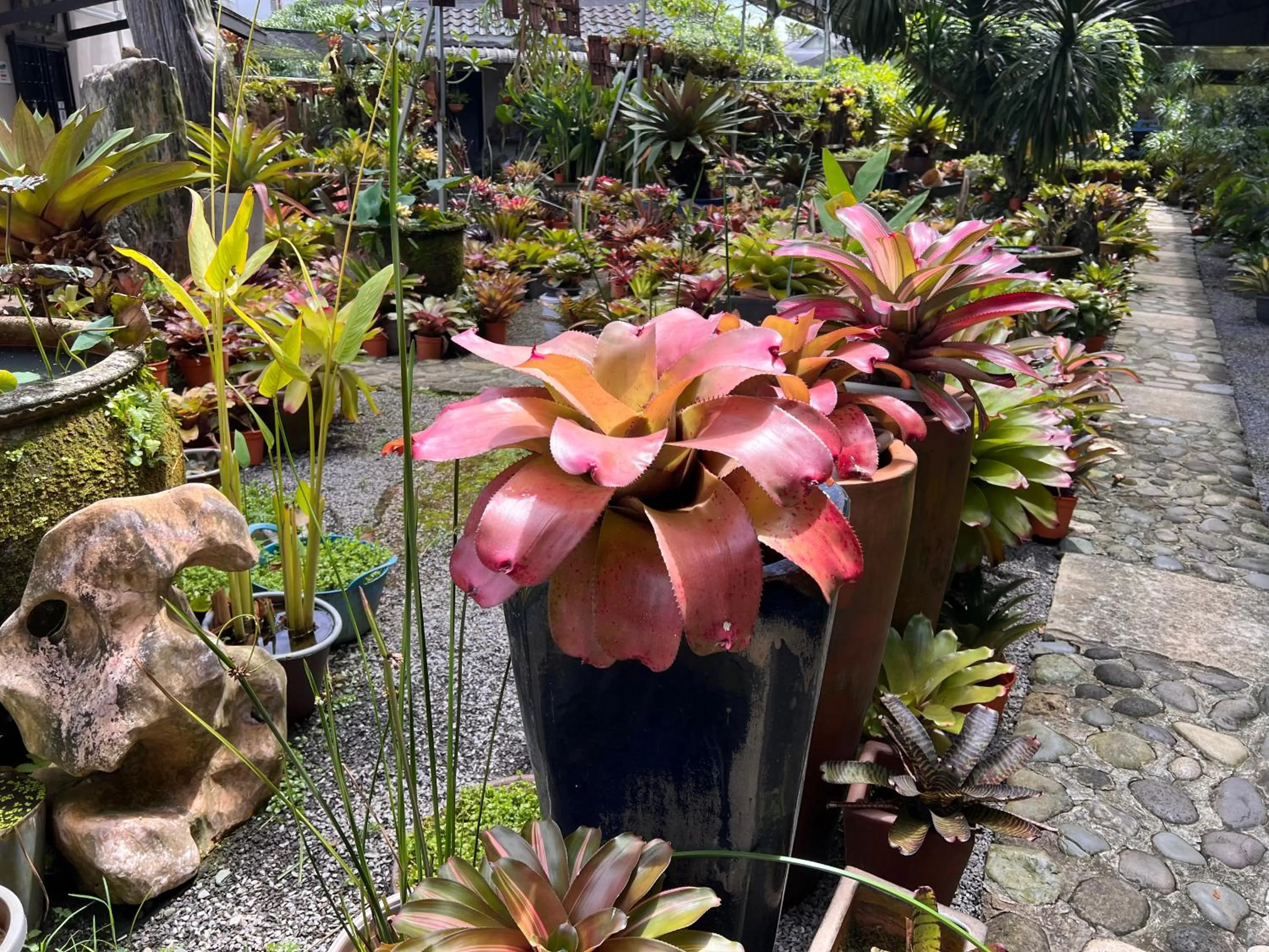 View (from property/room) in The Green Cottage