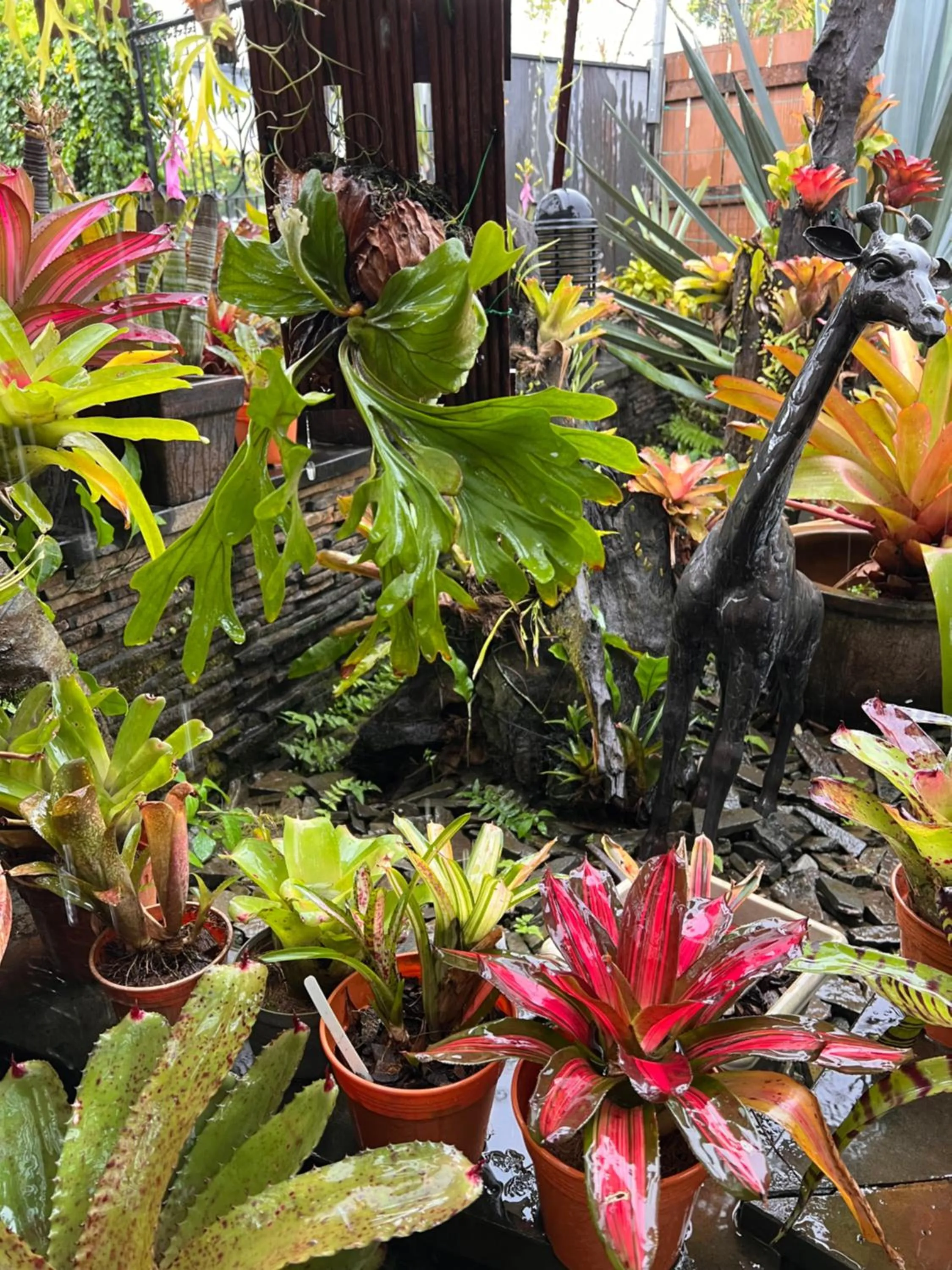 View (from property/room) in The Green Cottage