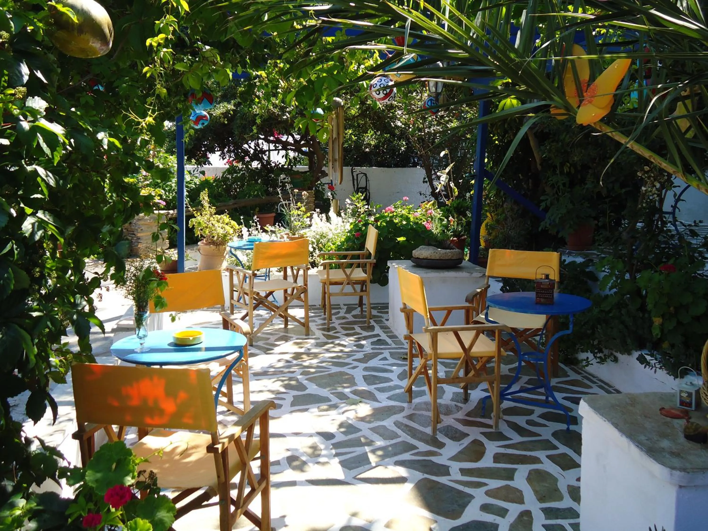 Garden in Pension Sofia Amorgos-Katapola
