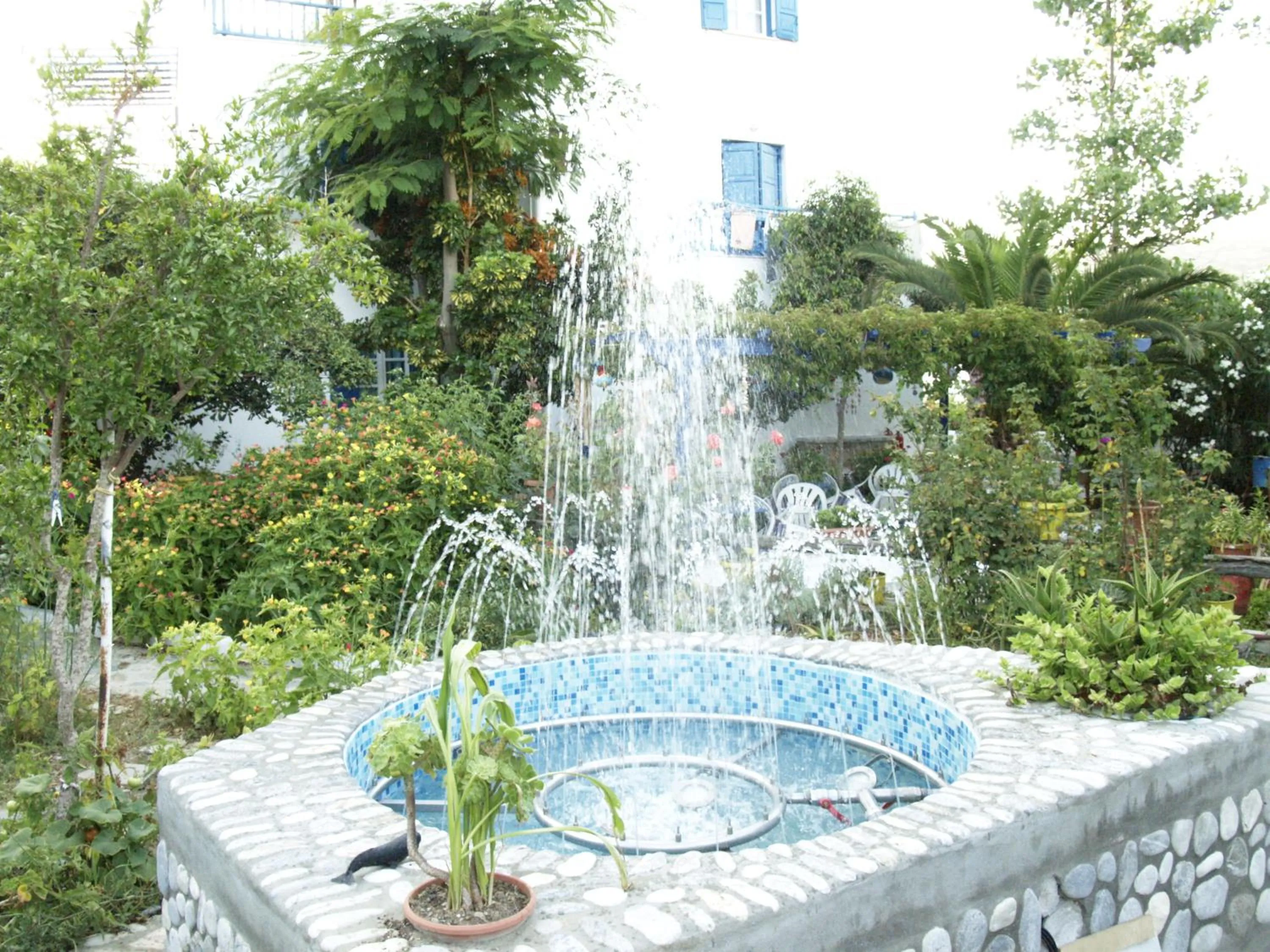 Garden in Pension Sofia Amorgos-Katapola