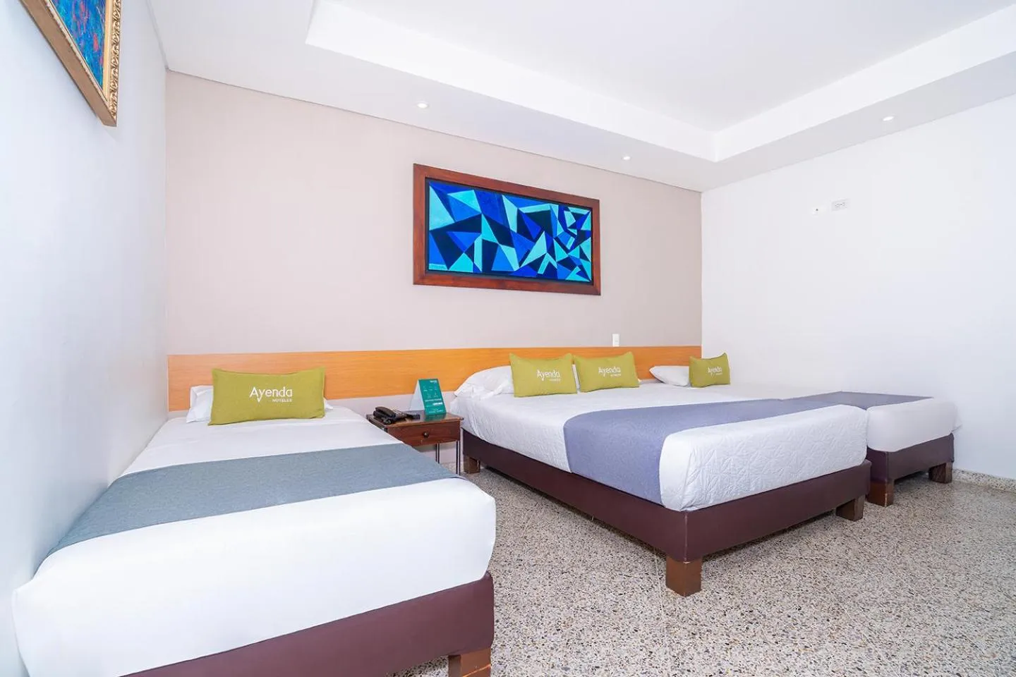 TV and multimedia in Hotel Oasis
