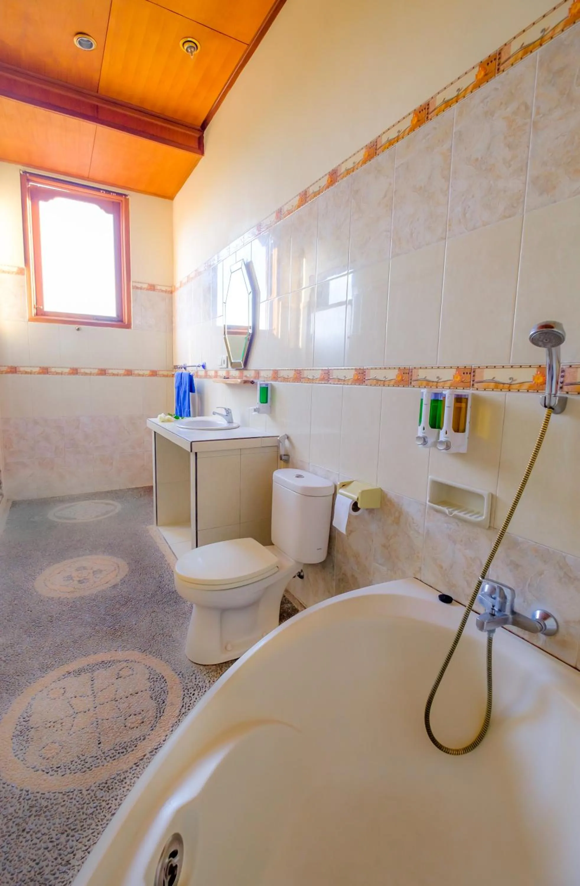 Shower in Bali Spring Cottages