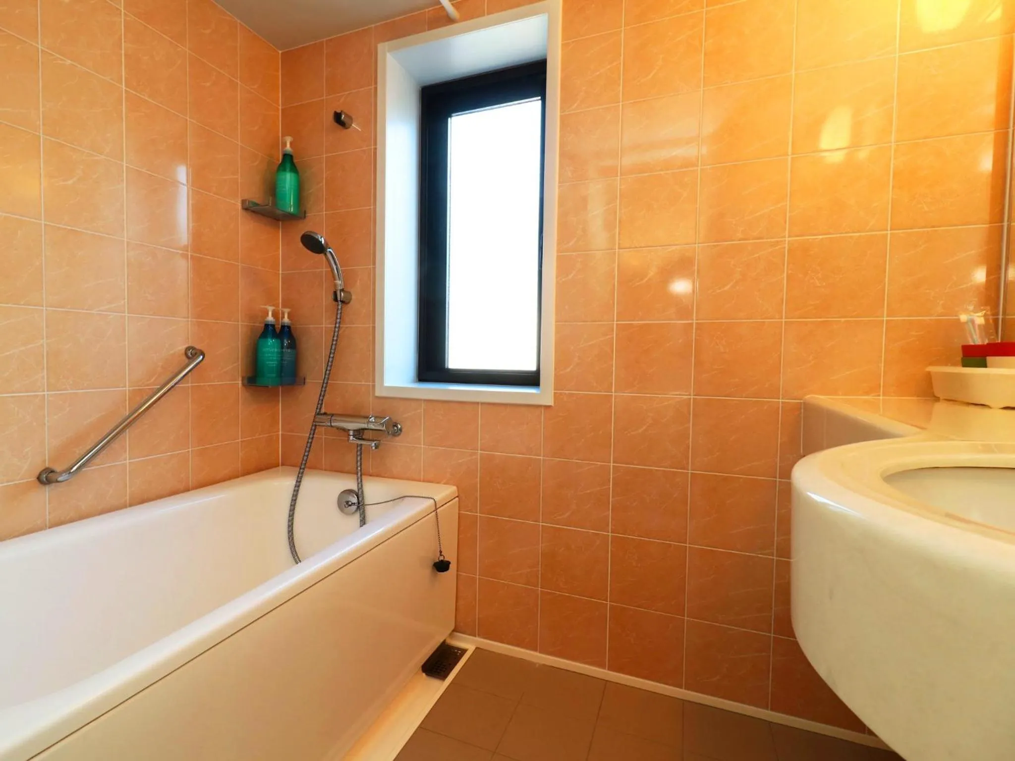 Bathroom in Izu Kansya