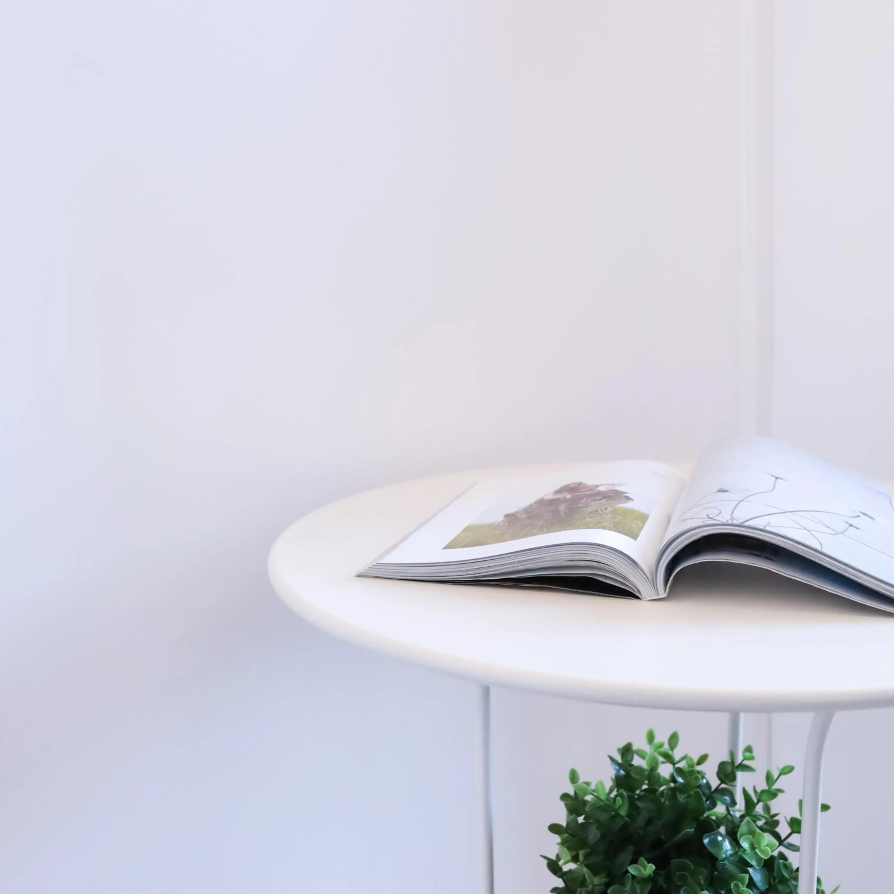 Decorative detail in Cielo Vaticano Guest House