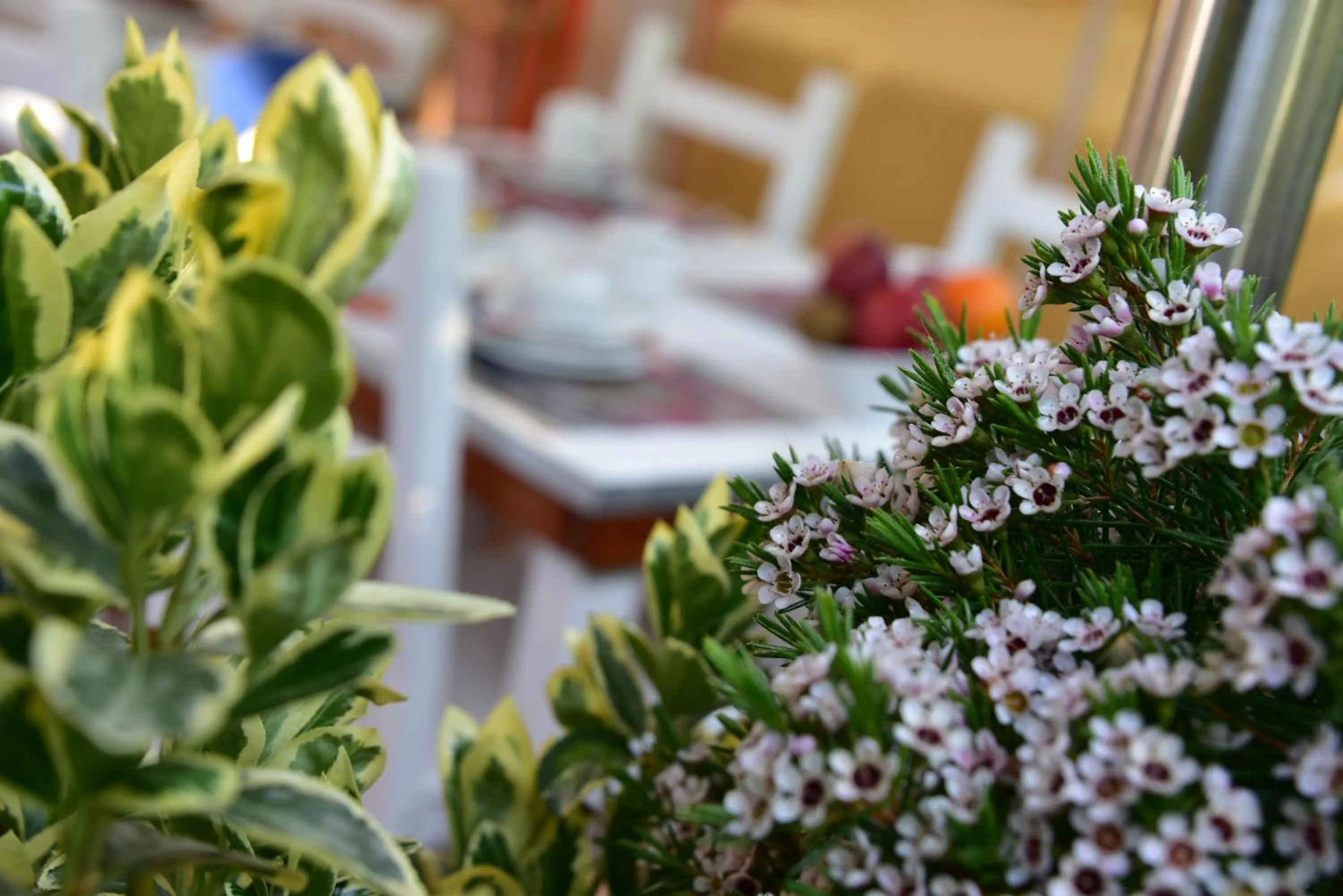 Balcony/Terrace in QuodLibet