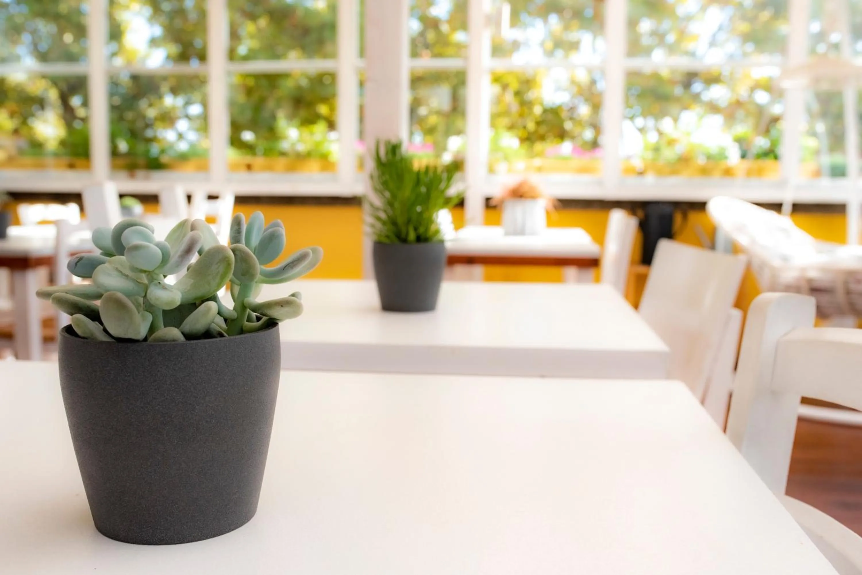 Decorative detail in QuodLibet