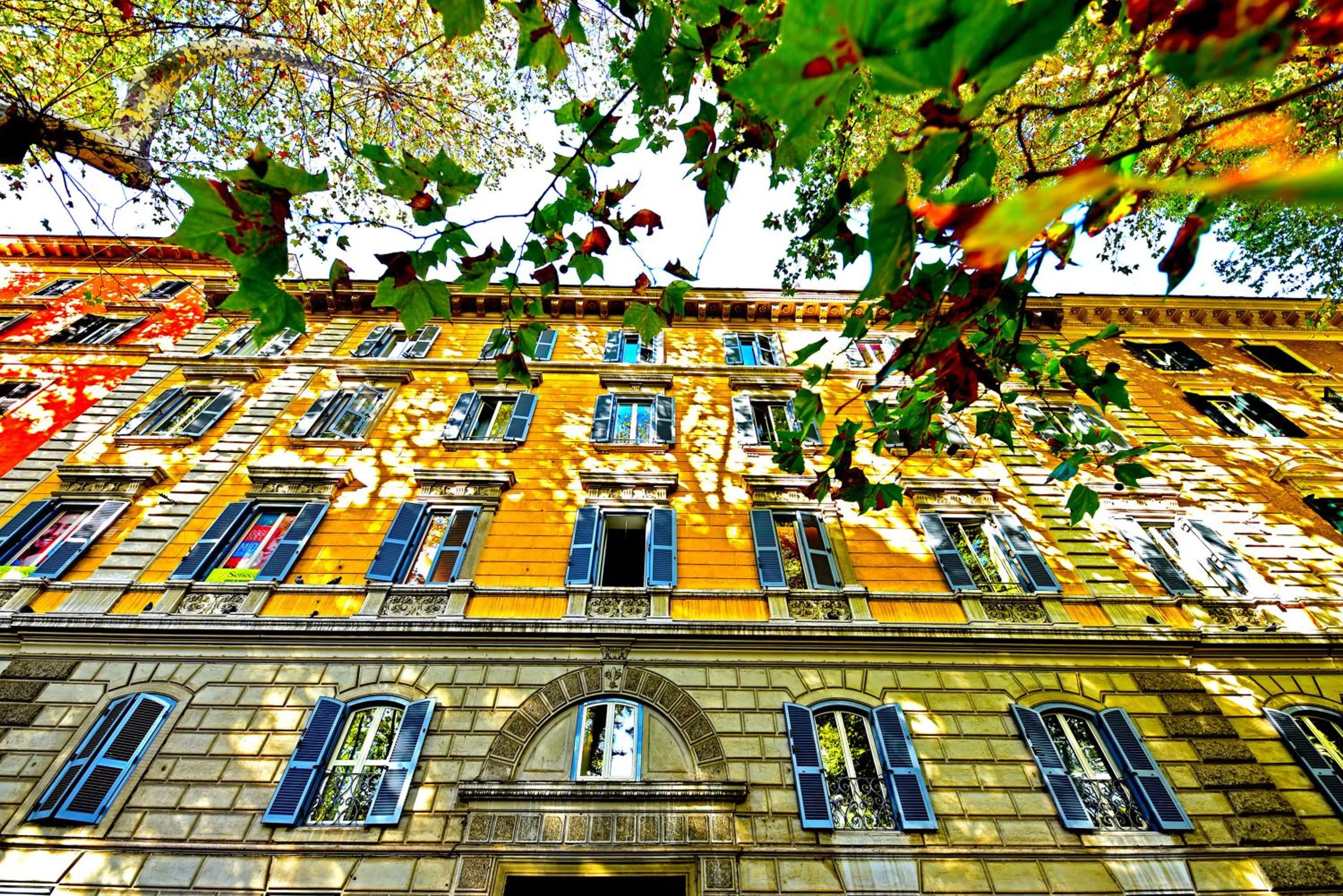 Facade/entrance in QuodLibet